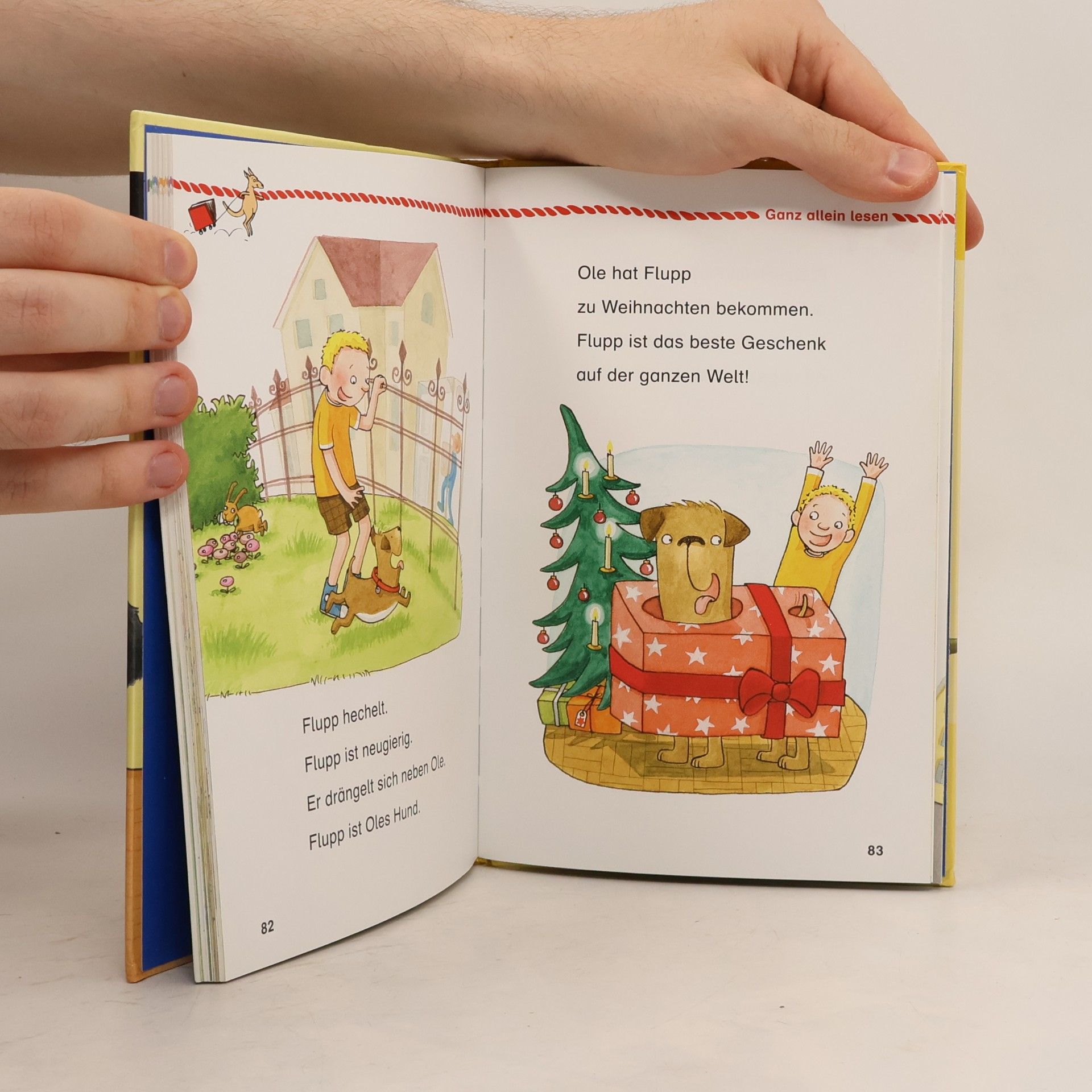 Autorenkollektiv Ein Faultier geht zur Schule