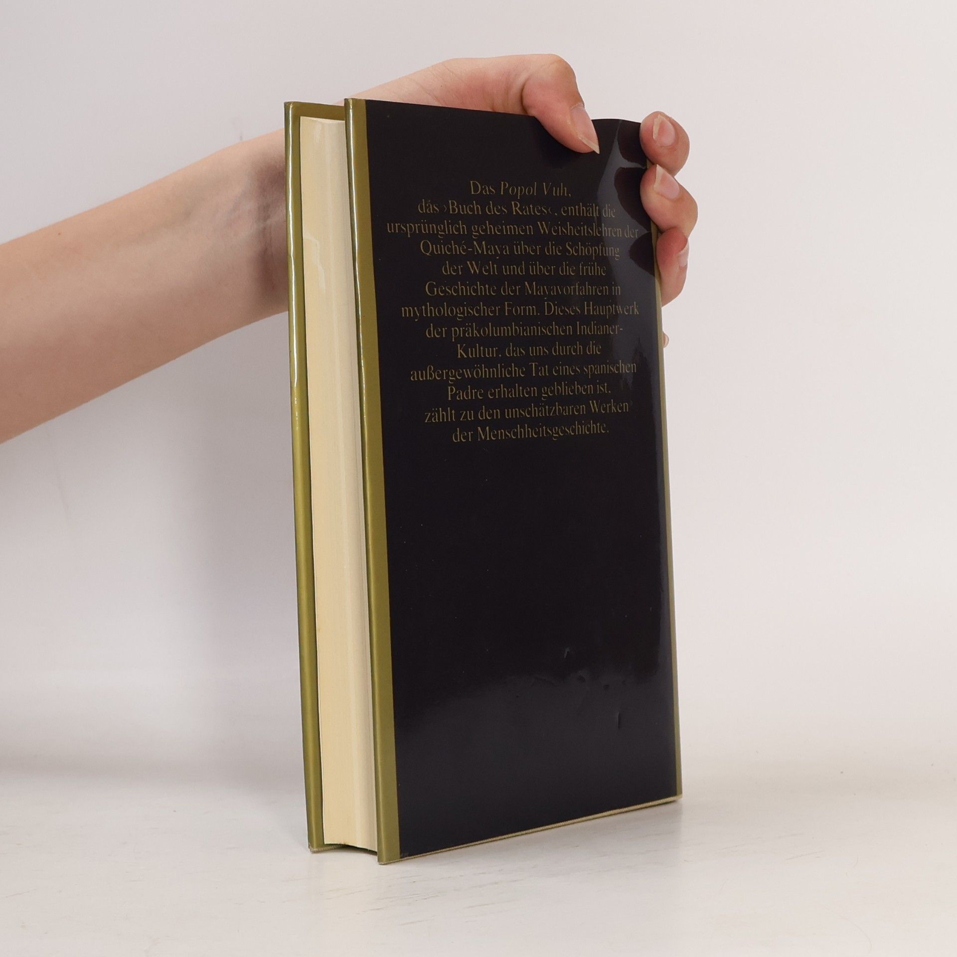 Various authors Popol Vuh. Das Buch des Rates