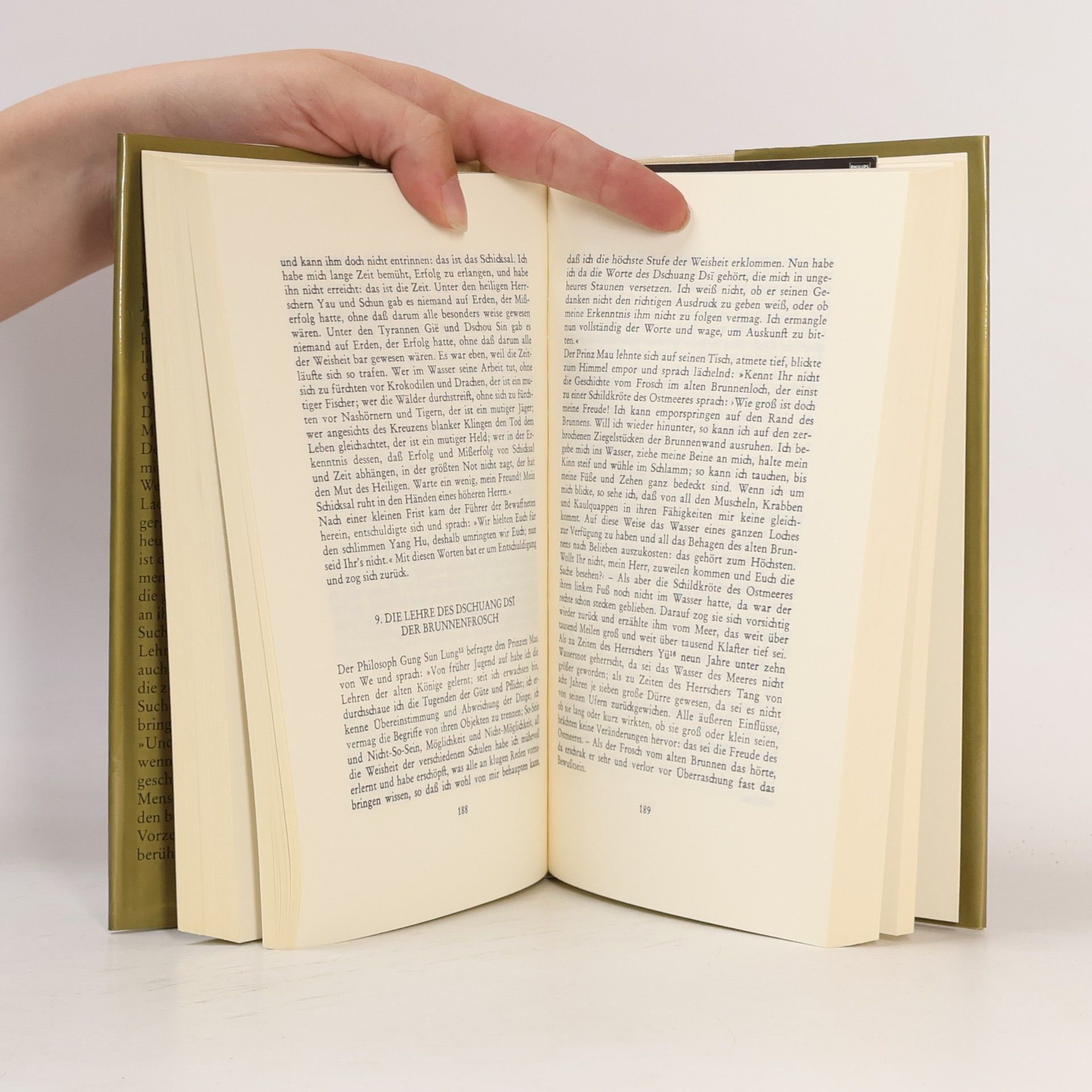 Dschuang Dsi Das wahre Buch vom südlichen Blütenland
