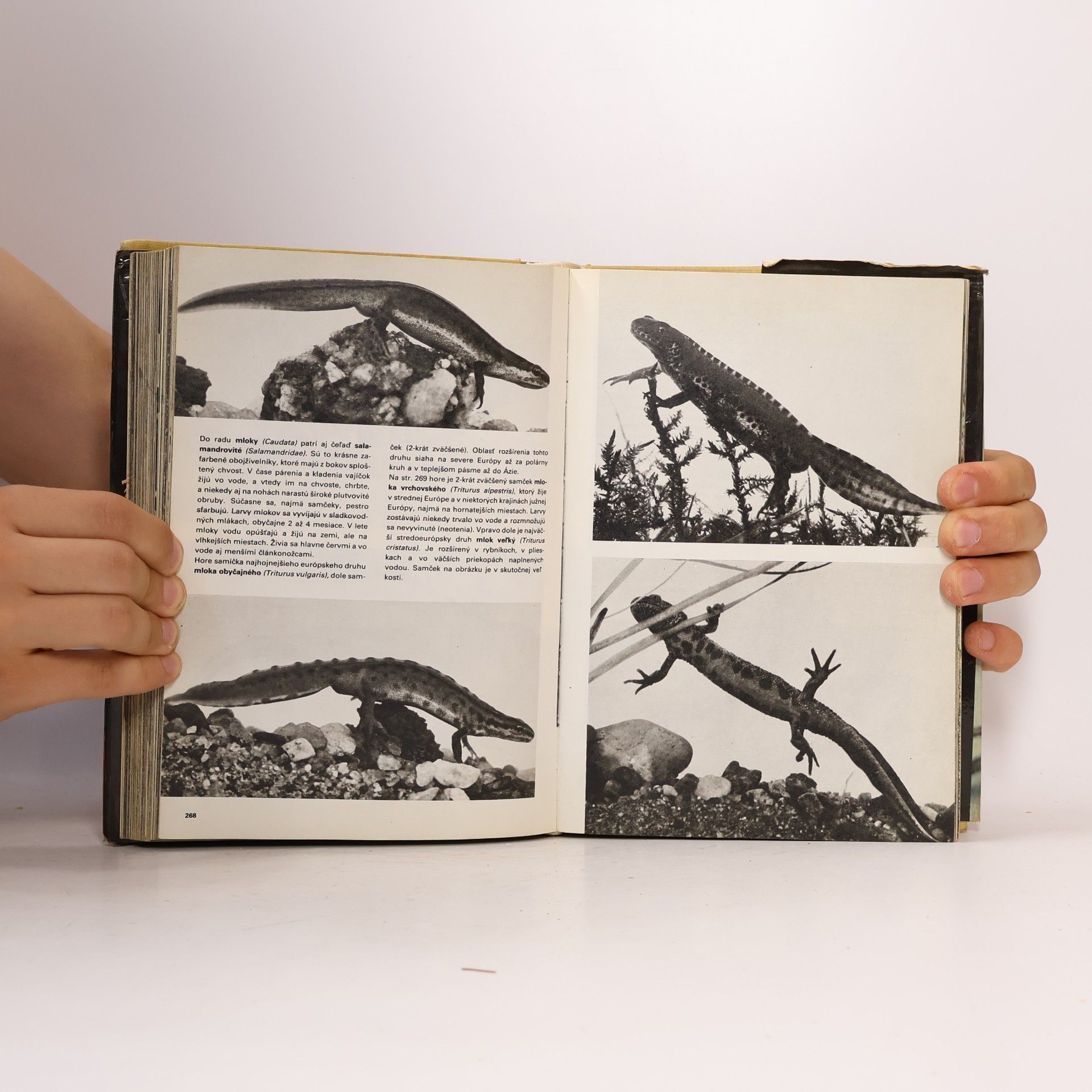 Václav Jan Staněk Veľký obrazový atlas zvierat