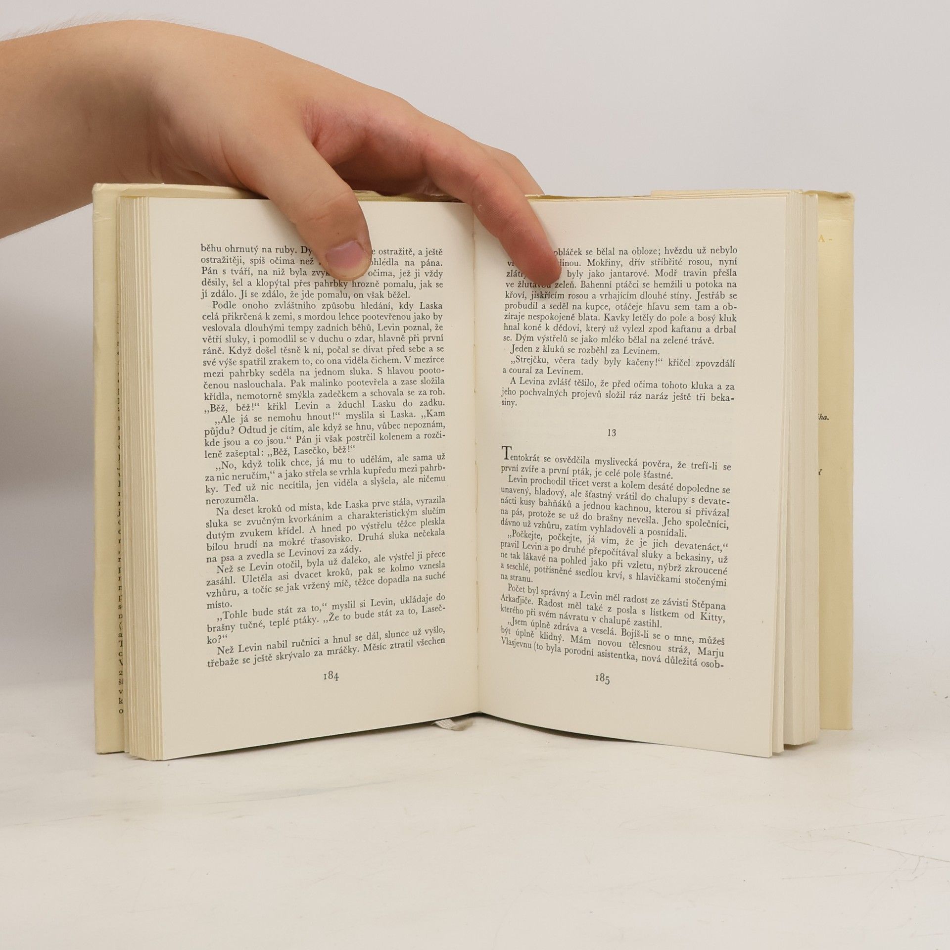 Lew Nikolajewitsch Tolstoi Anna Kareninová 2