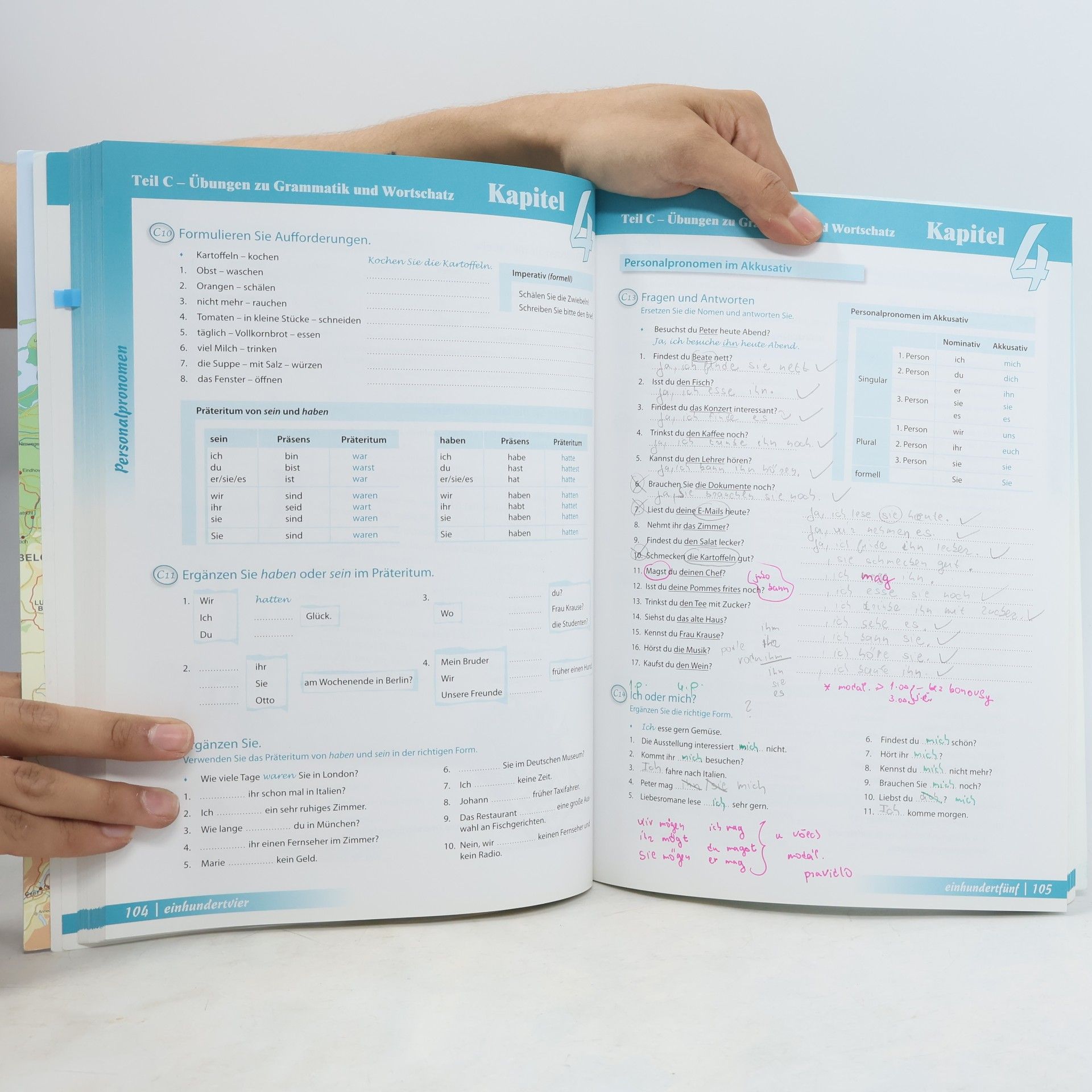 Anne Buscha Begegnungen : Integriertes Kurs- und Arbeitsbuch : Sprachniveau A1+