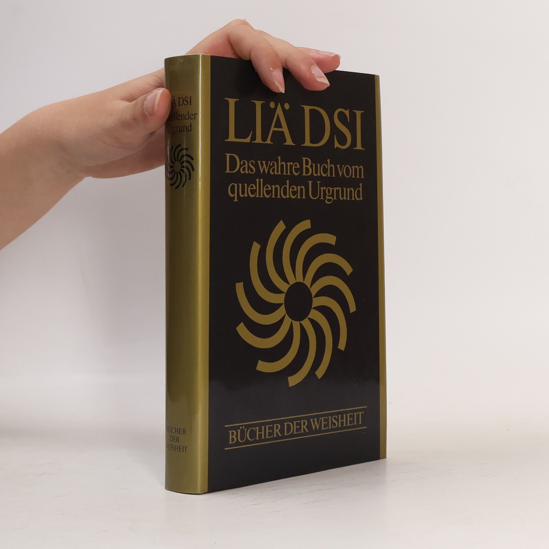 Autorenkollektiv Liä Dsi. Das wahre Buch vom quellenden Urgrund