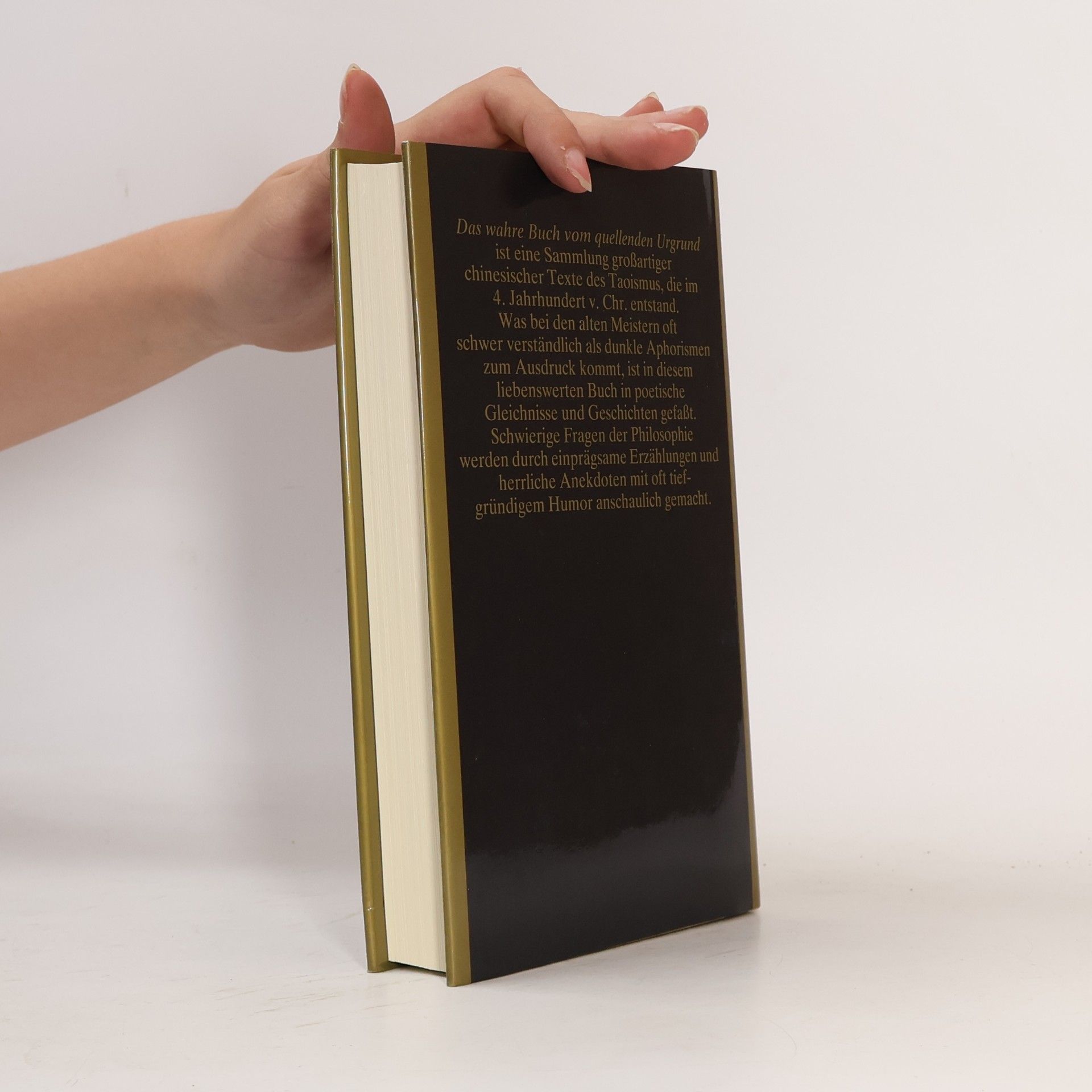 Autorenkollektiv Liä Dsi. Das wahre Buch vom quellenden Urgrund