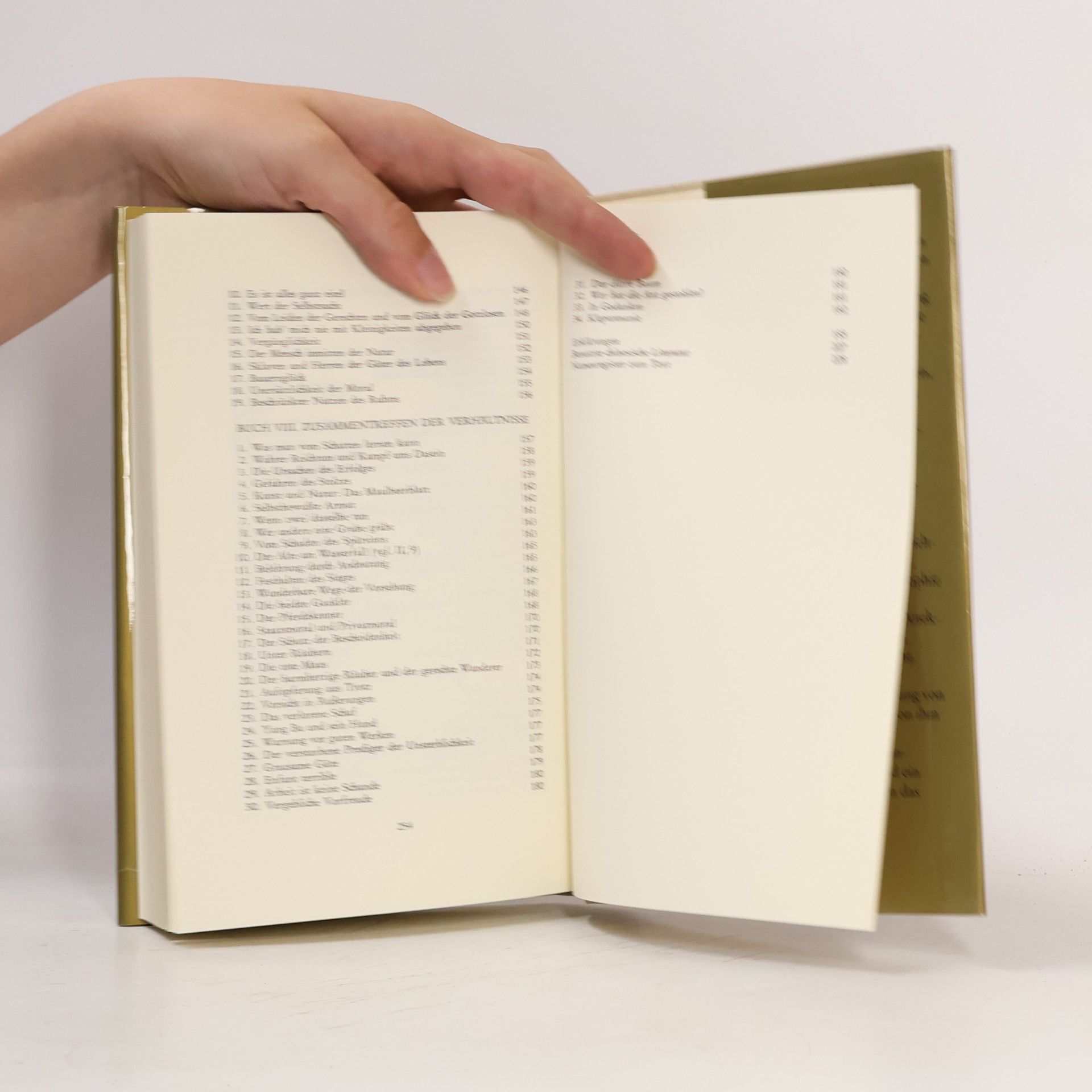Autorenkollektiv Liä Dsi. Das wahre Buch vom quellenden Urgrund