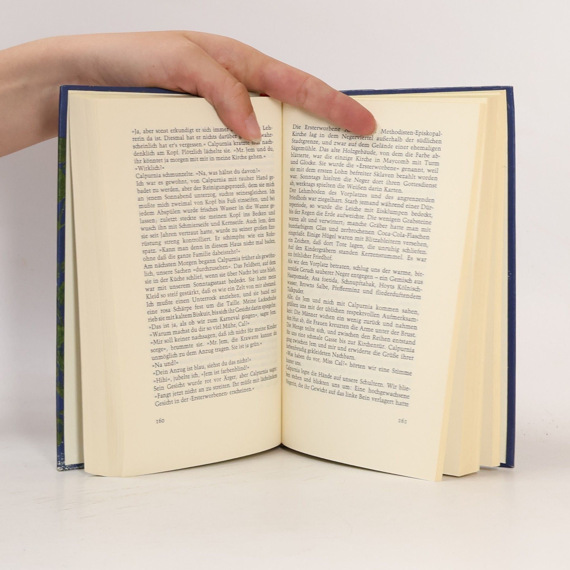 Harper Lee Wer die Nachtigall stört