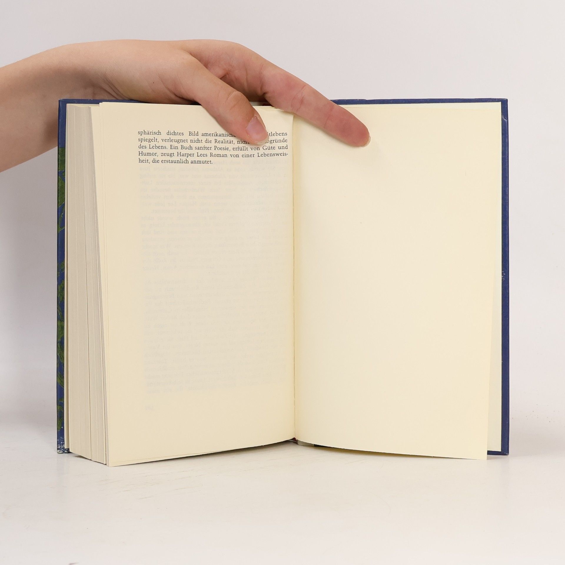 Harper Lee Wer die Nachtigall stört