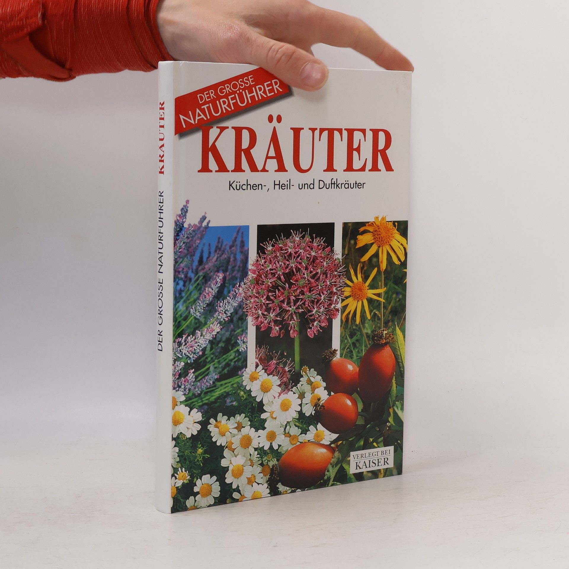 Maria Teresa Della Beffa Kräuter. Küchen-, Heil- und Duftkräuter