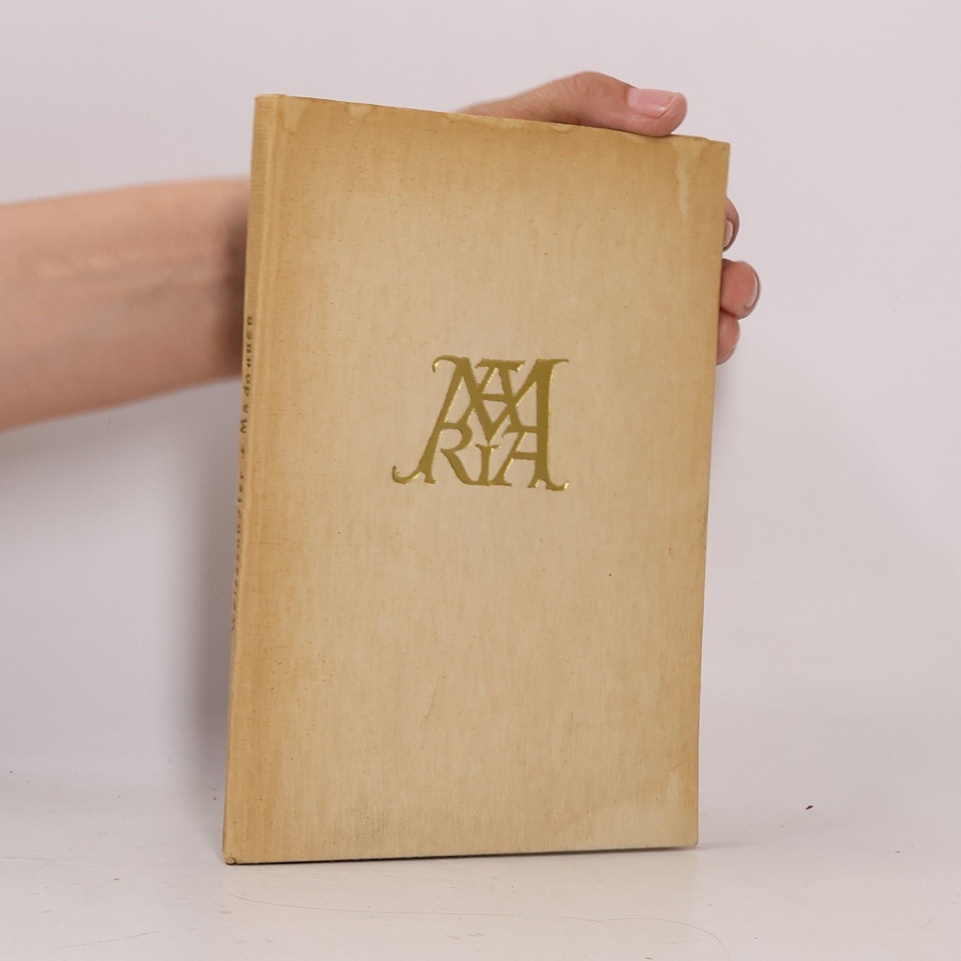 Autores varios Wiener Madonnen