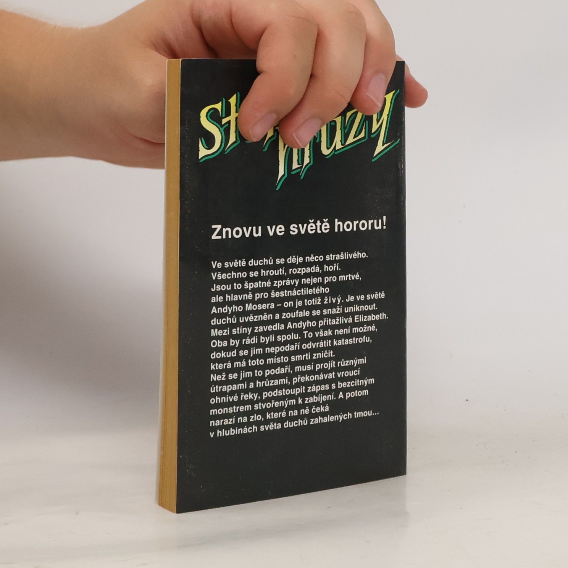 Barbara Siegel Stopy hrůzy 9. Temný oheň