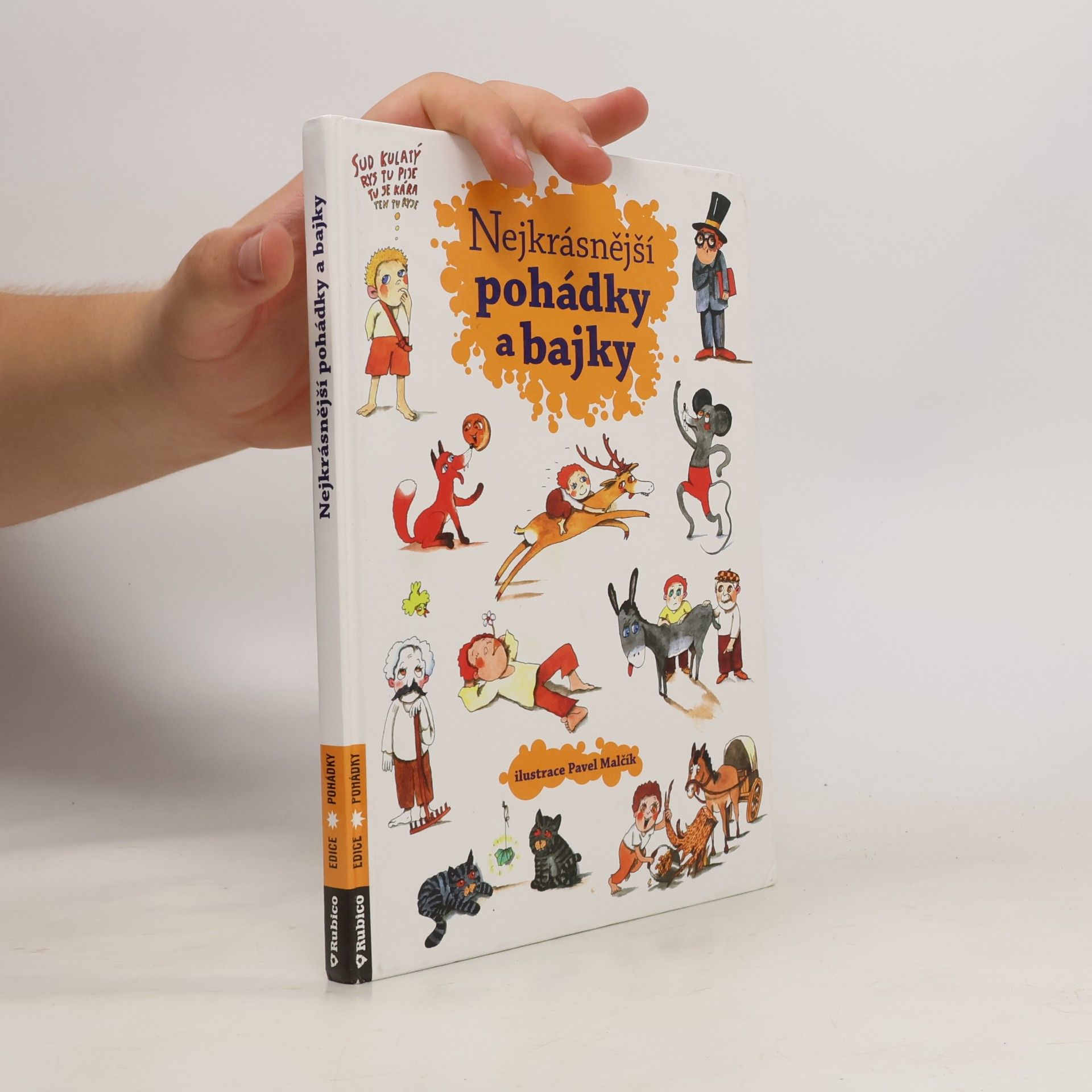 Autorenkollektiv Nejkrásnější pohádky a bajky