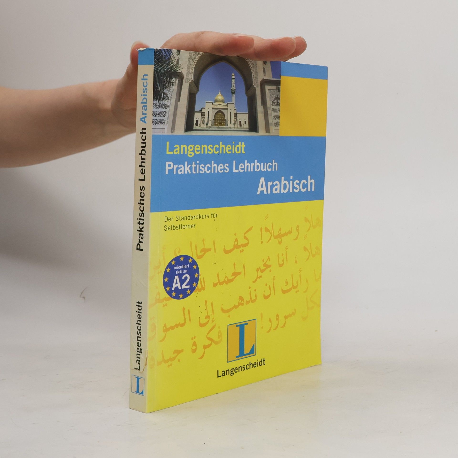 Kathrin Fietz Langenscheidt praktisches Lehrbuch Arabisch