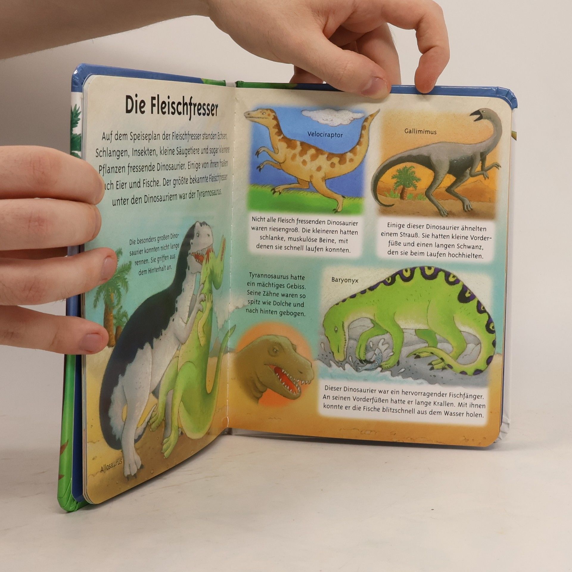 Collectif d'auteurs Die Dinosaurier