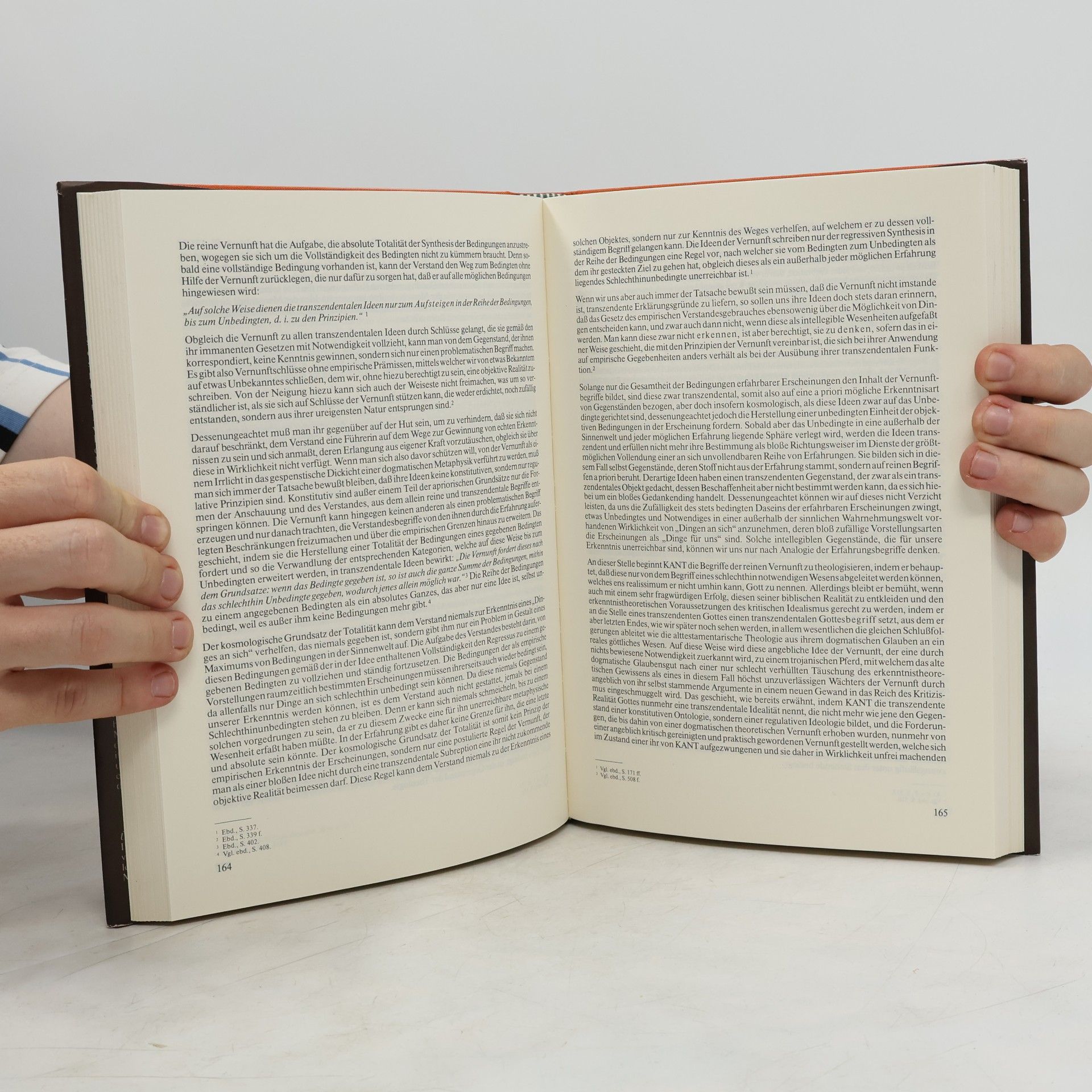 Hugo Ingrisch Philosophie der Vollkommenheit