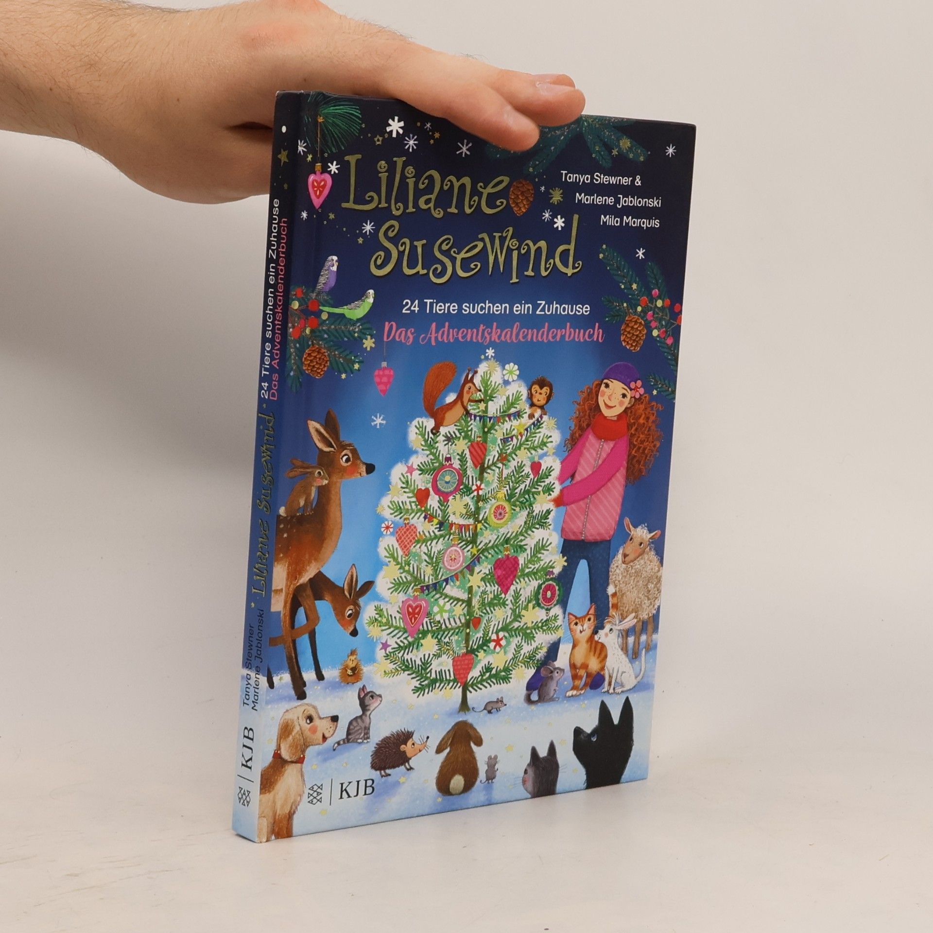 Tanya Stewner Liliane Susewind - 24 Tiere suchen ein Zuhause. Das Adventskalenderbuch