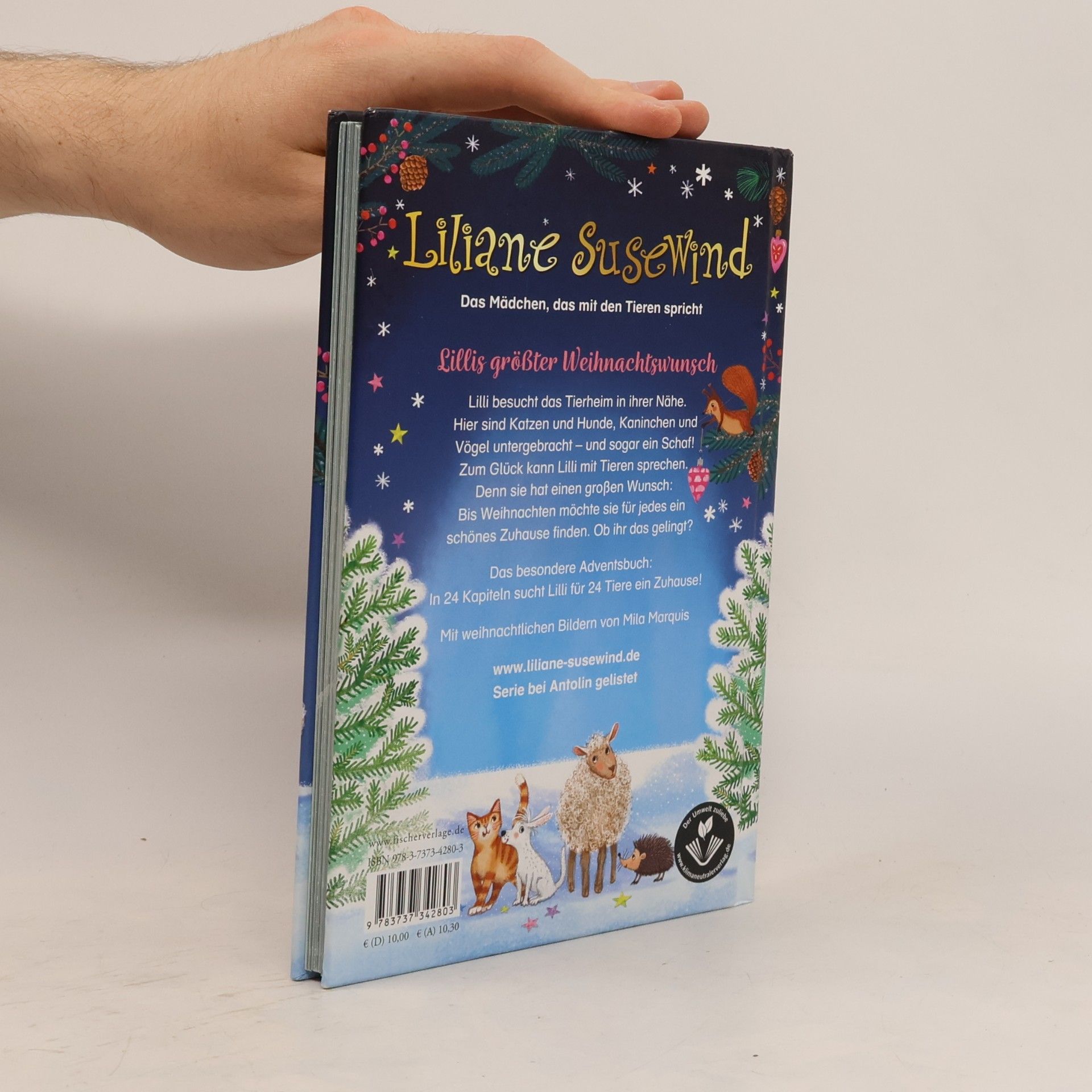Tanya Stewner Liliane Susewind - 24 Tiere suchen ein Zuhause. Das Adventskalenderbuch