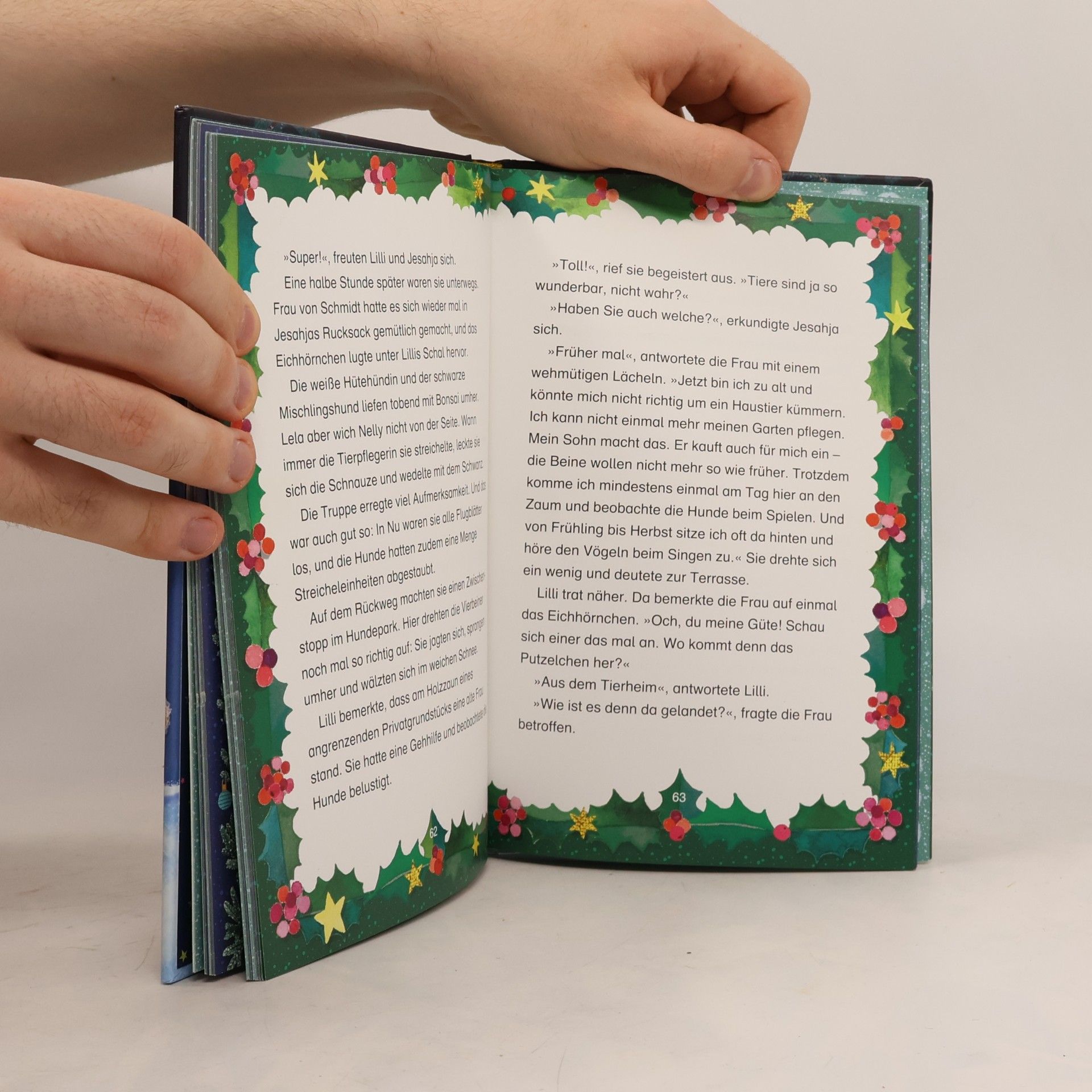 Tanya Stewner Liliane Susewind - 24 Tiere suchen ein Zuhause. Das Adventskalenderbuch