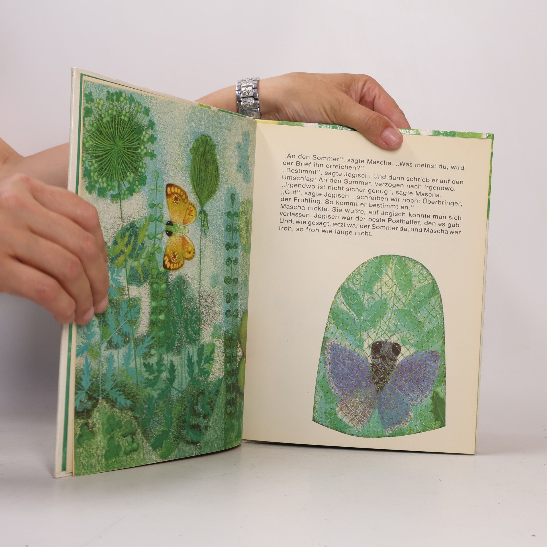 Gerlinde Schneider Mascha und der Sommer