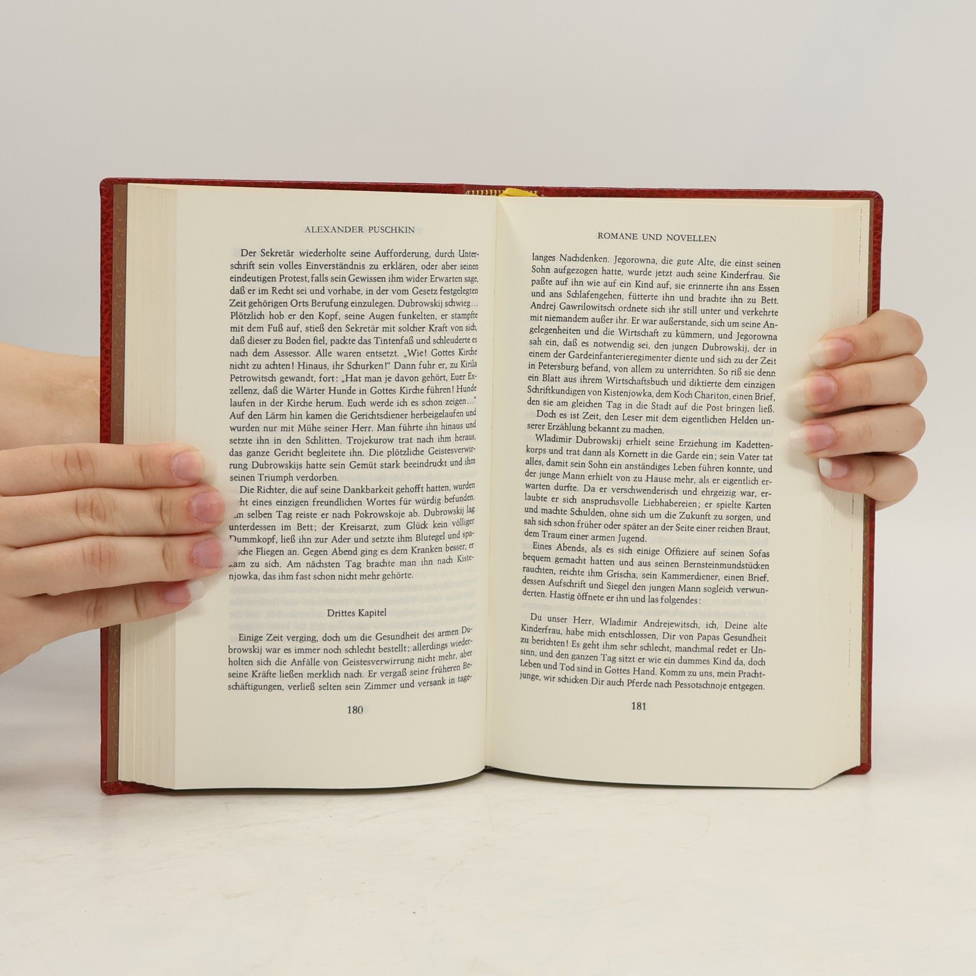 Alexander Pushkin Romane und Novellen