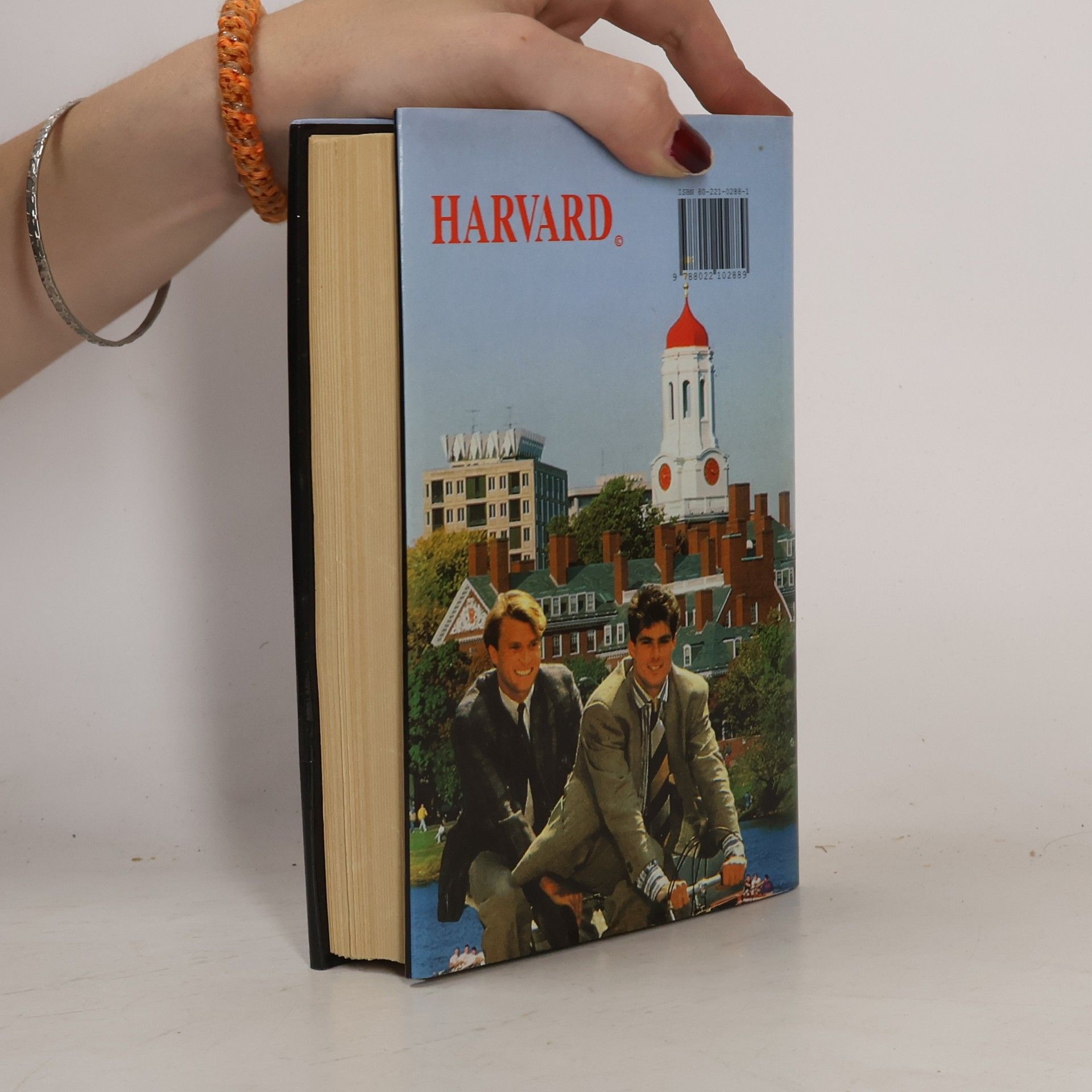 Erich Segal Chlapci z Harvardu