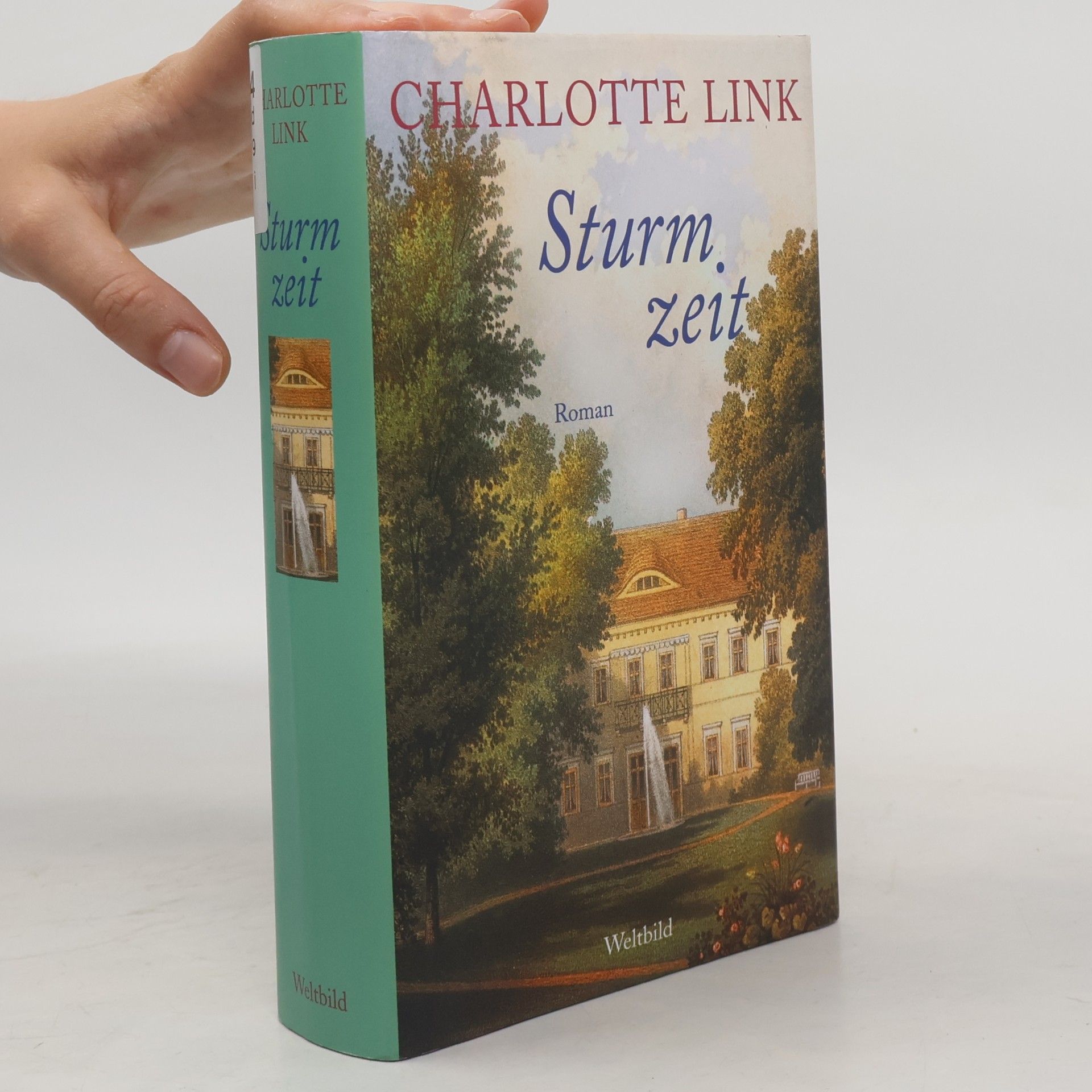 Charlotte Link Sturmzeit
