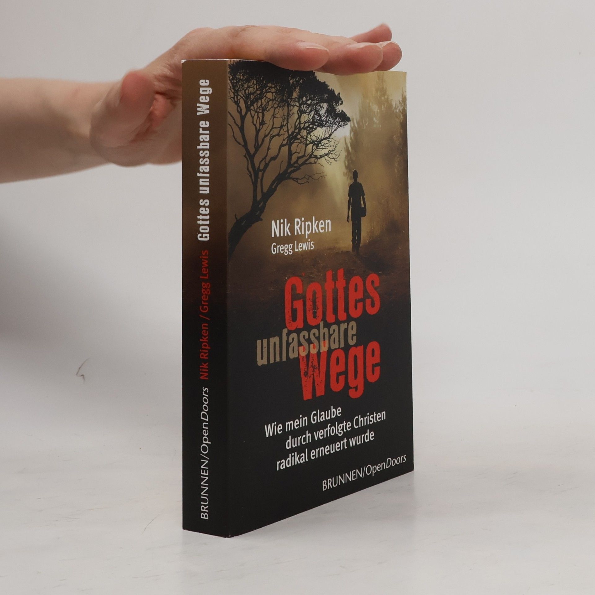 Nik Ripken Gottes unfassbare Wege