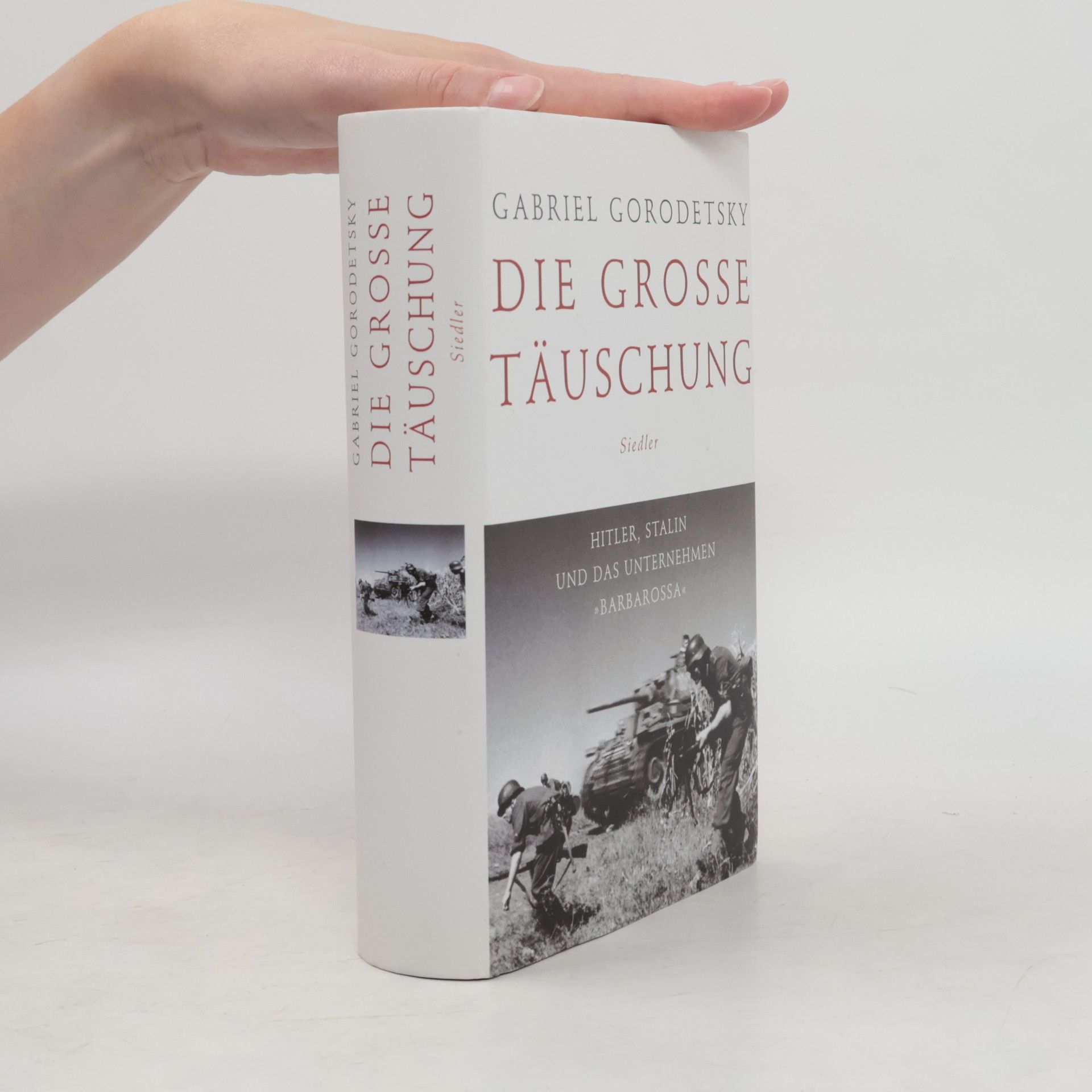 Gavriʾel Gorodetsḳi Die große Täuschung