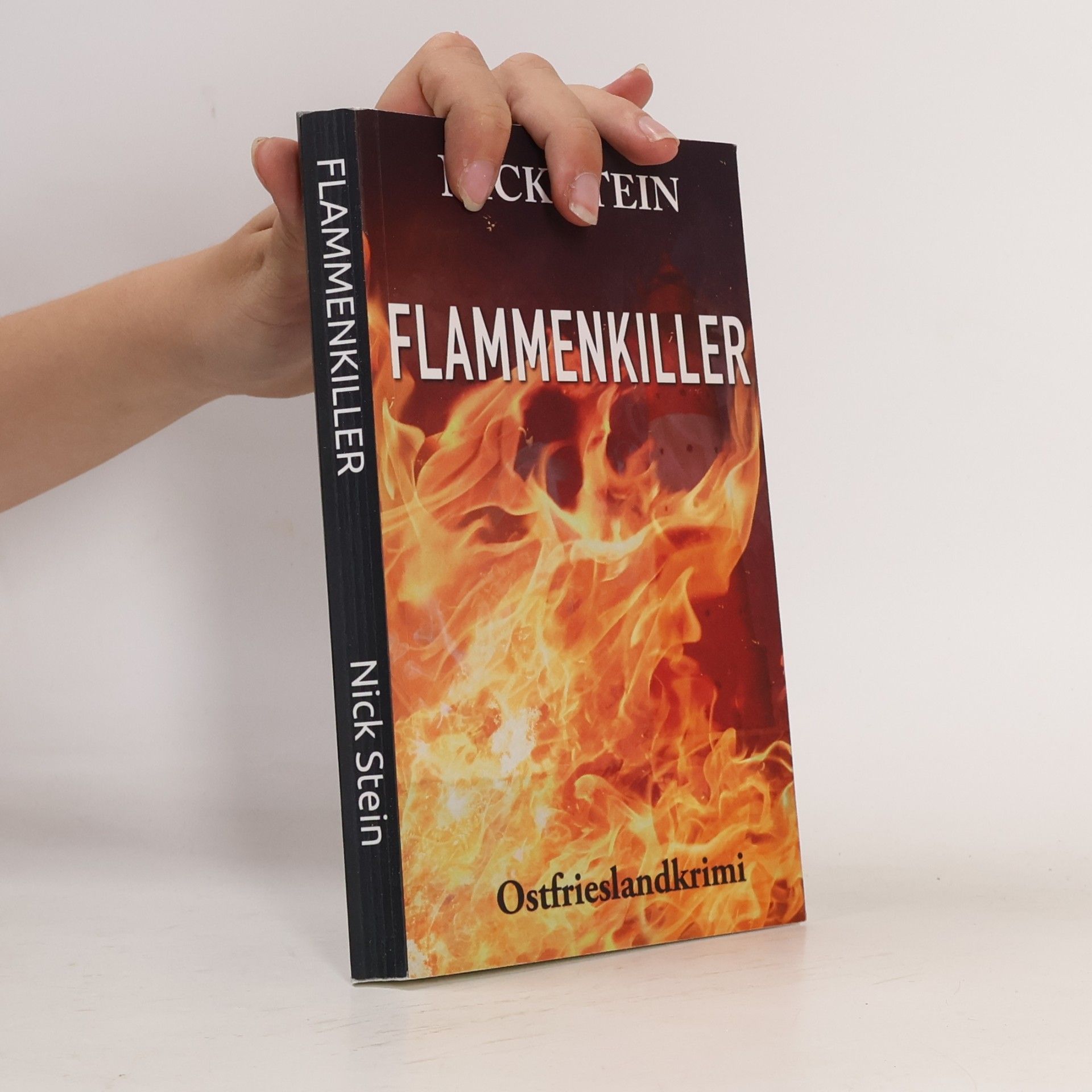 Nick Stein Lukas-Jansen-Reihe: Flammenkiller