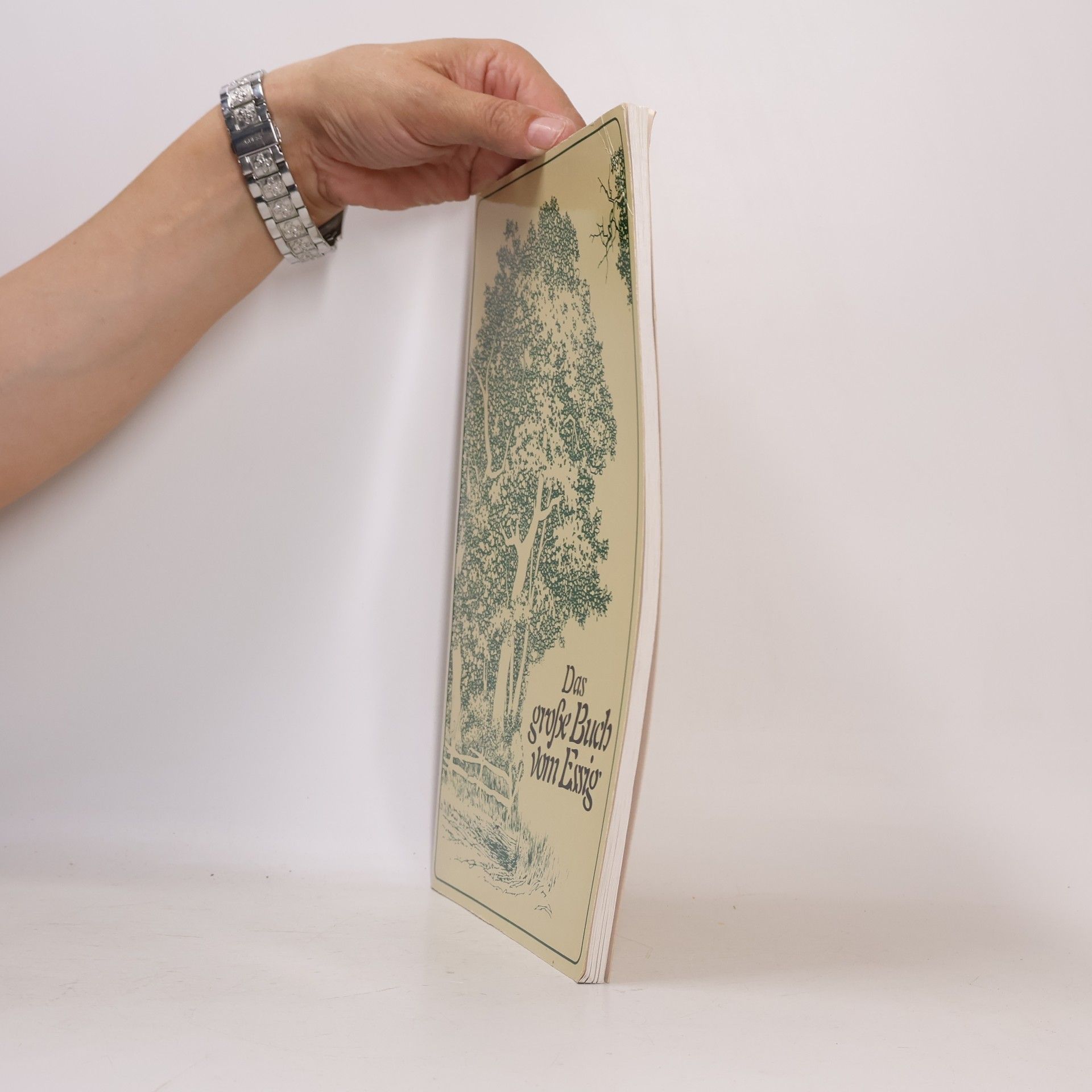 Emily Thacker Das große Buch vom Essig