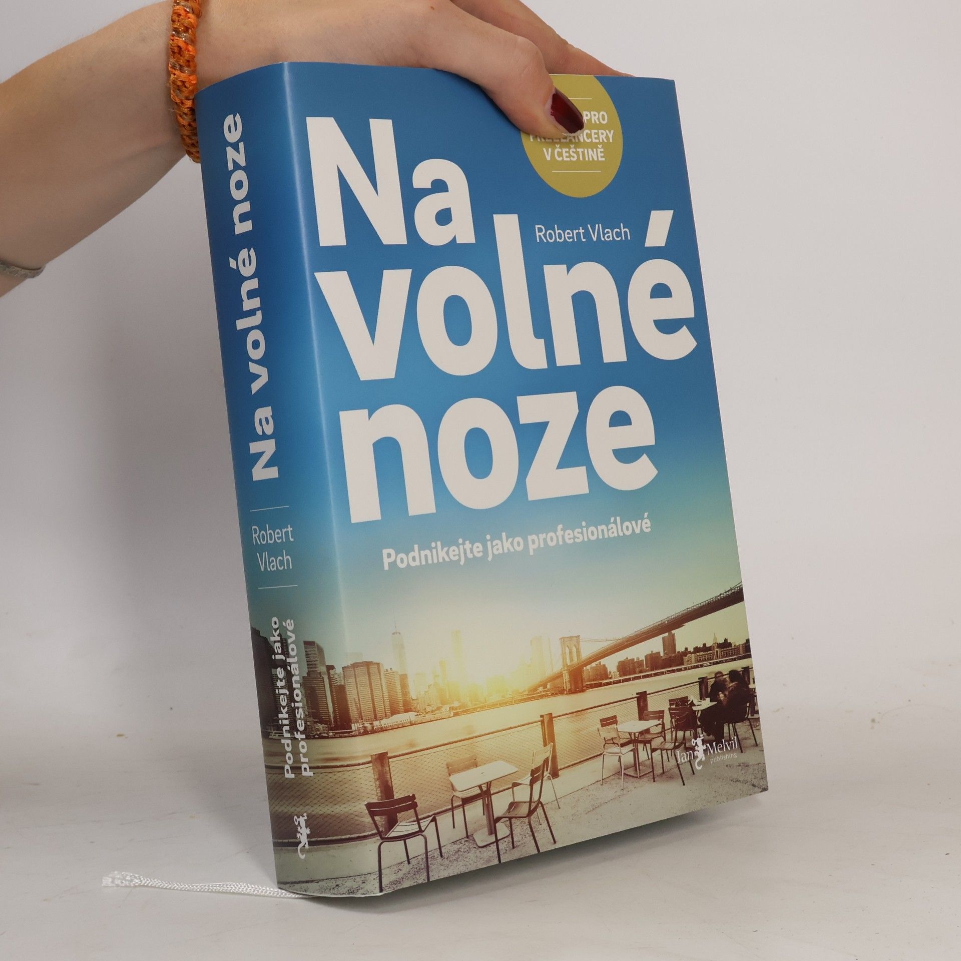 Robert Vlach (podnikatel) Na volné noze