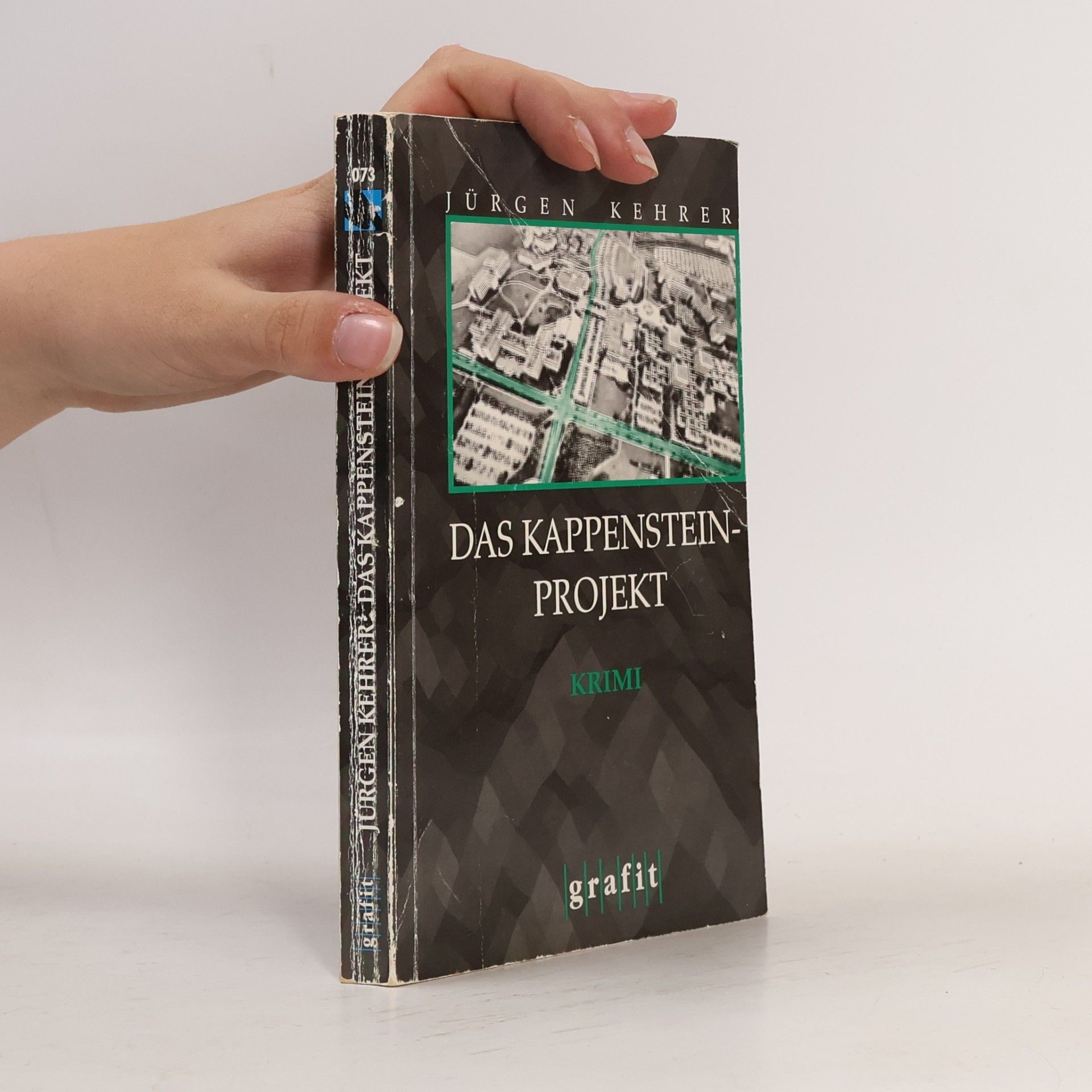 Jürgen Kehrer Das Kappenstein-Projekt