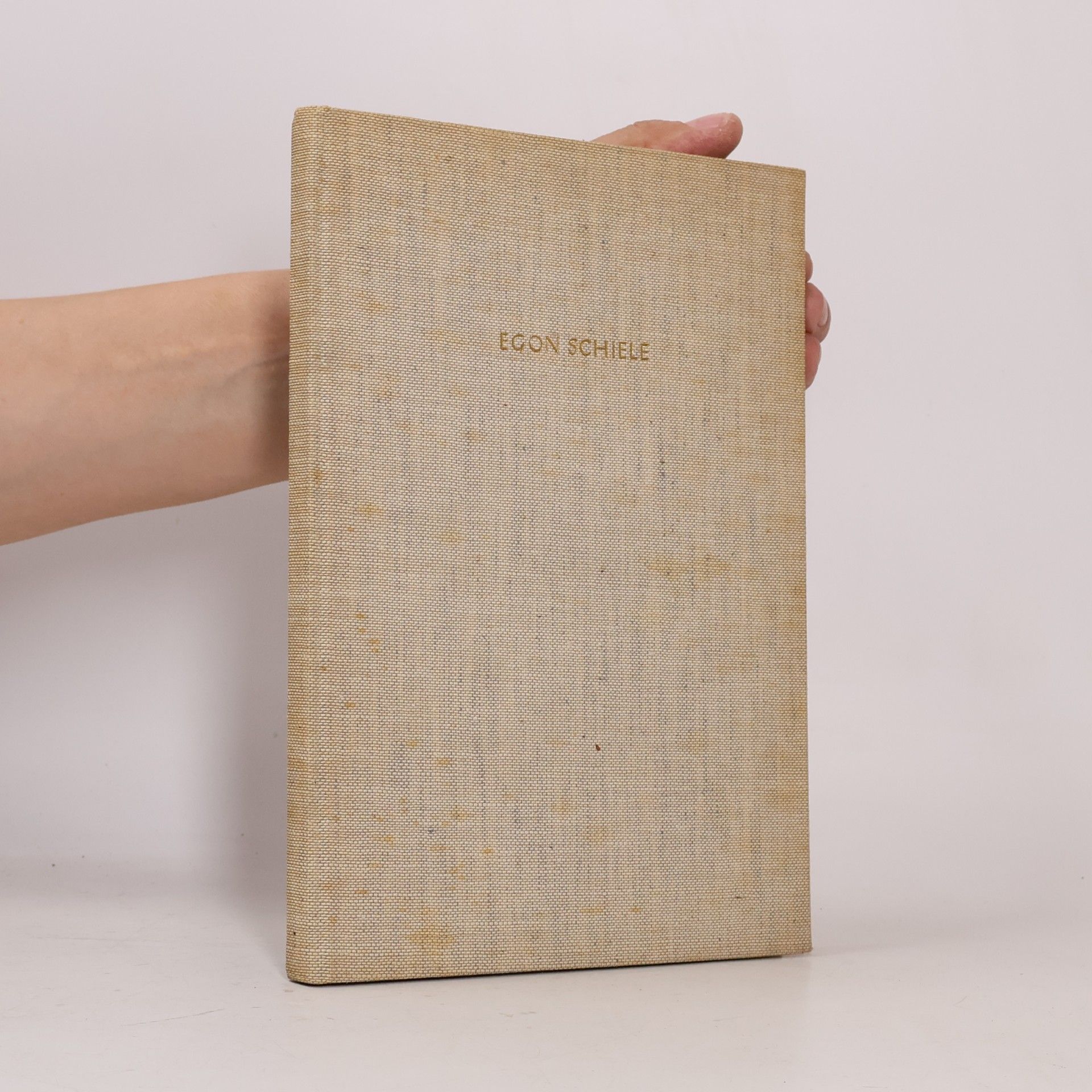 Arthur Roessler Erinnerungen an Egon Schiele