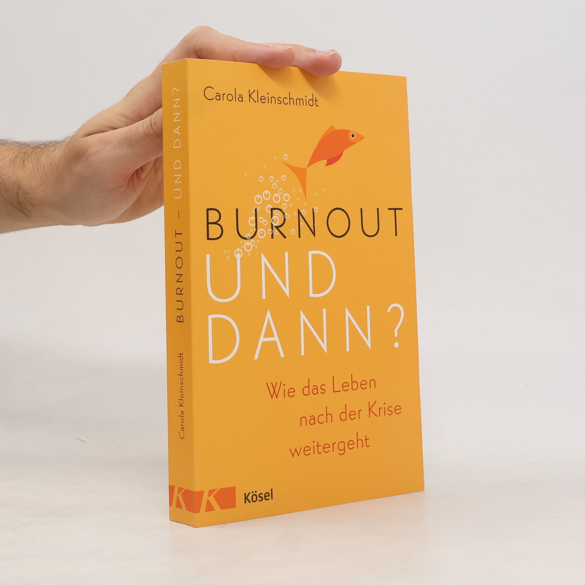 Carola Kleinschmidt Burnout und dann?