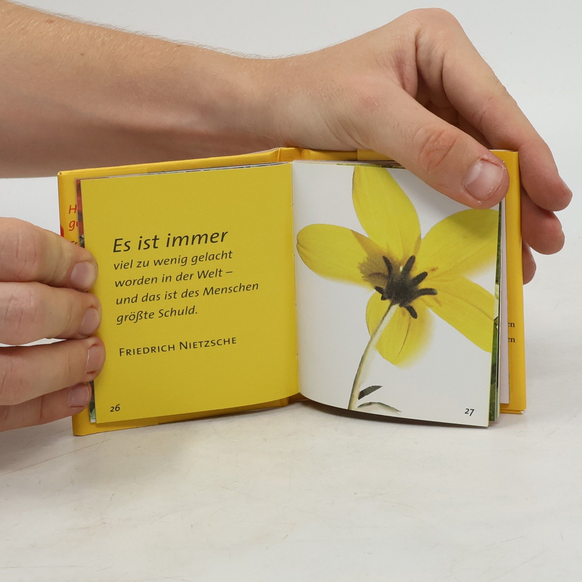 Die kleine Bibliothek: Geniesse den Tag