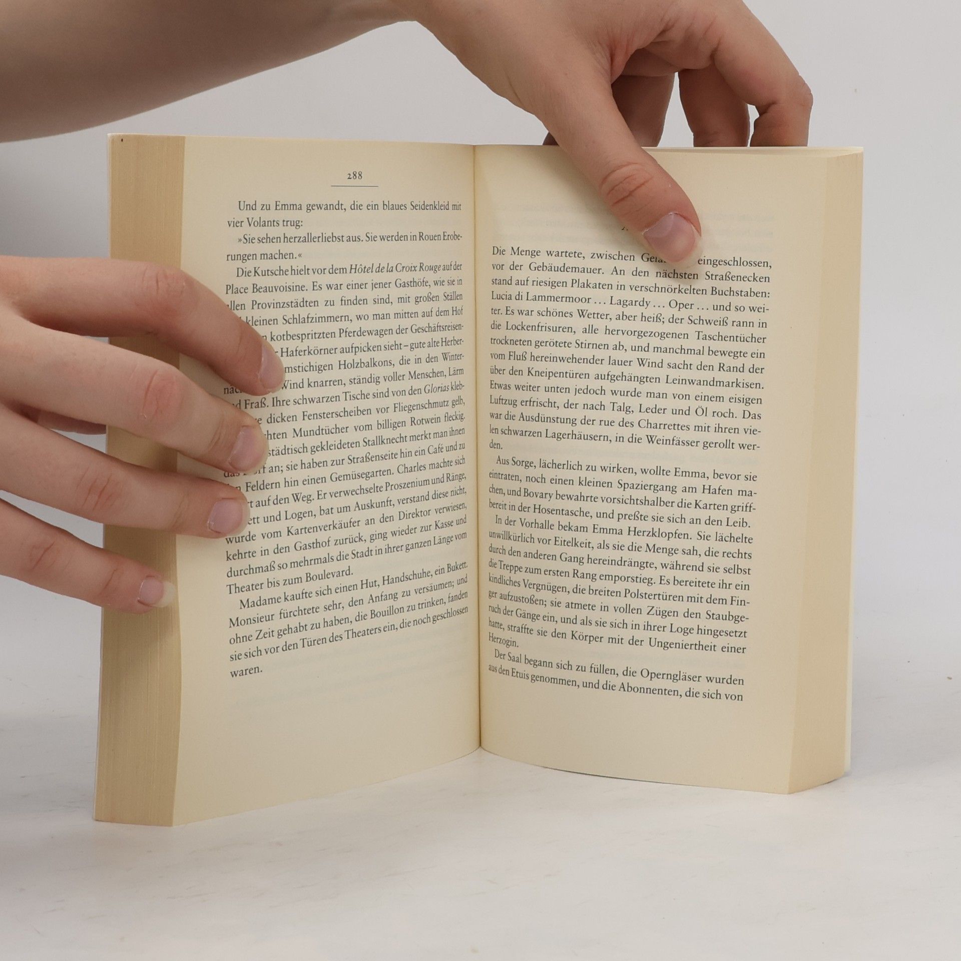 Gustave Flaubert Madame Bovary