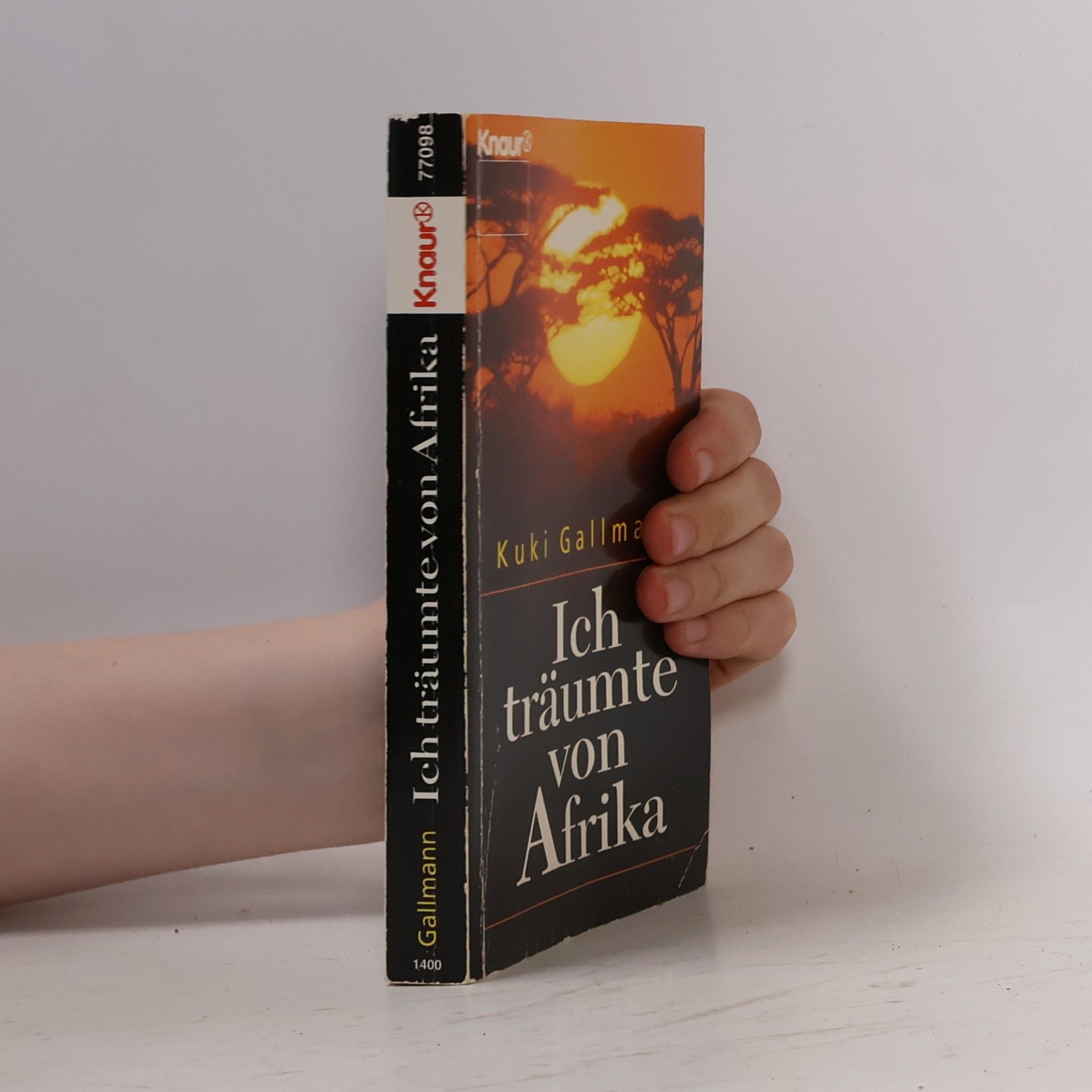 Kuki Gallmann Ich träumte von Afrika