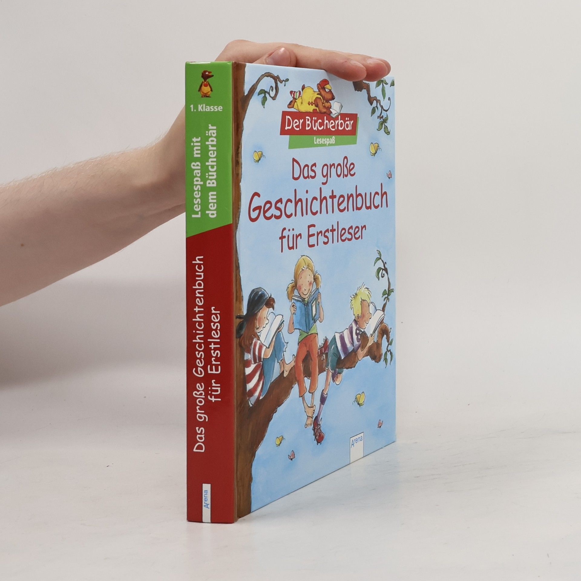Kolektiv autorů Das große Geschichtenbuch für Erstleser