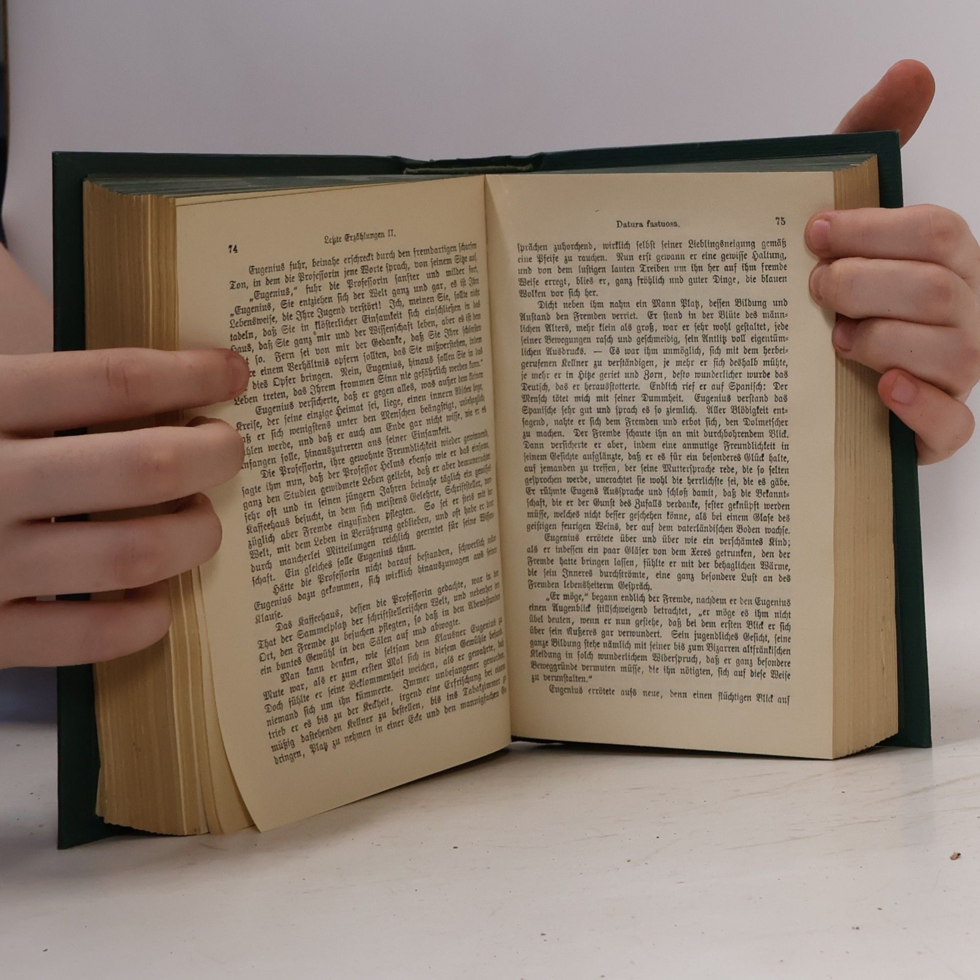 Ernst T. A. Hoffmann Sämtliche Werke 11-15