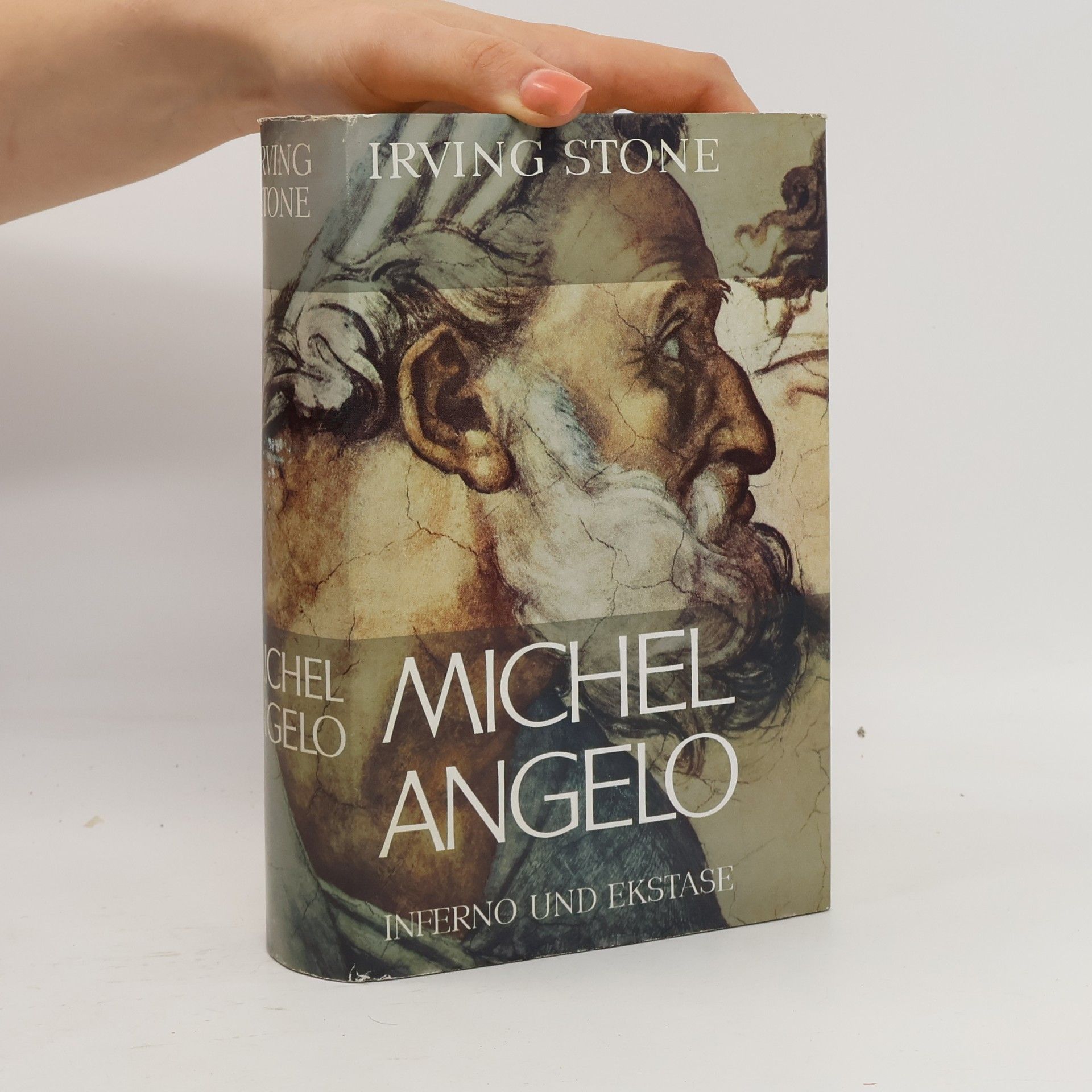 Irving Stone Michelangelo. Inferno und Ekstase