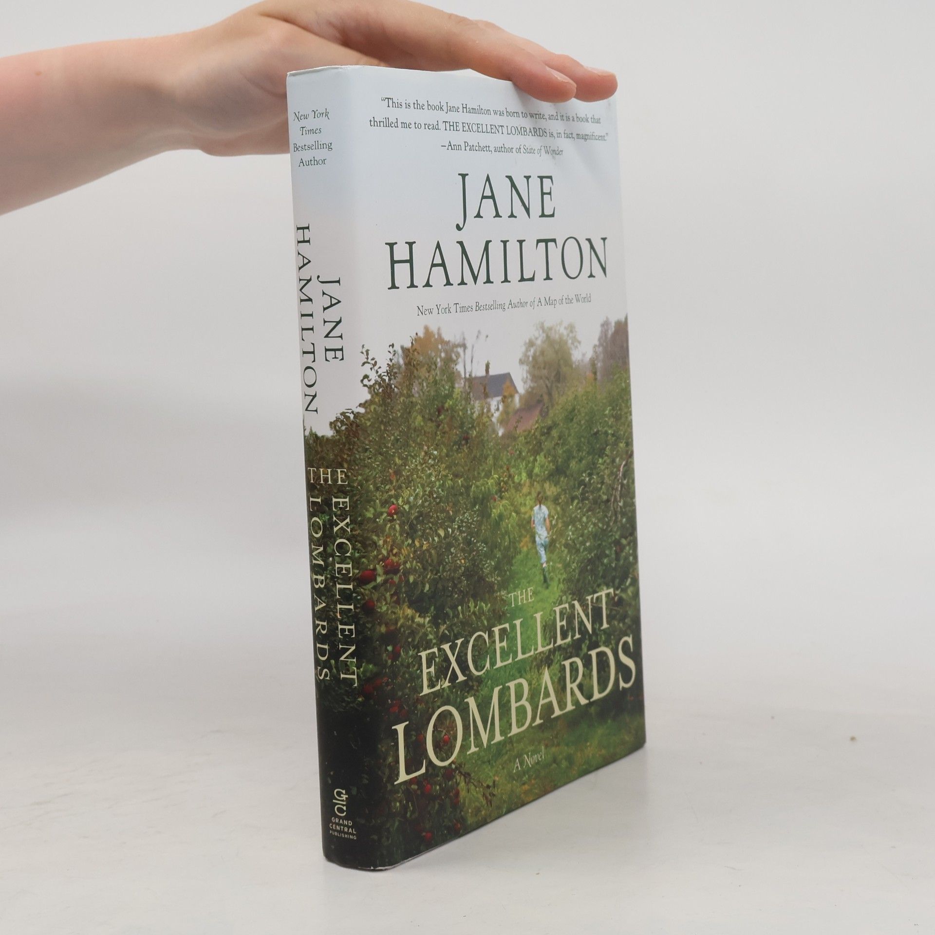 Jane Hamilton The Excellent Lombards
