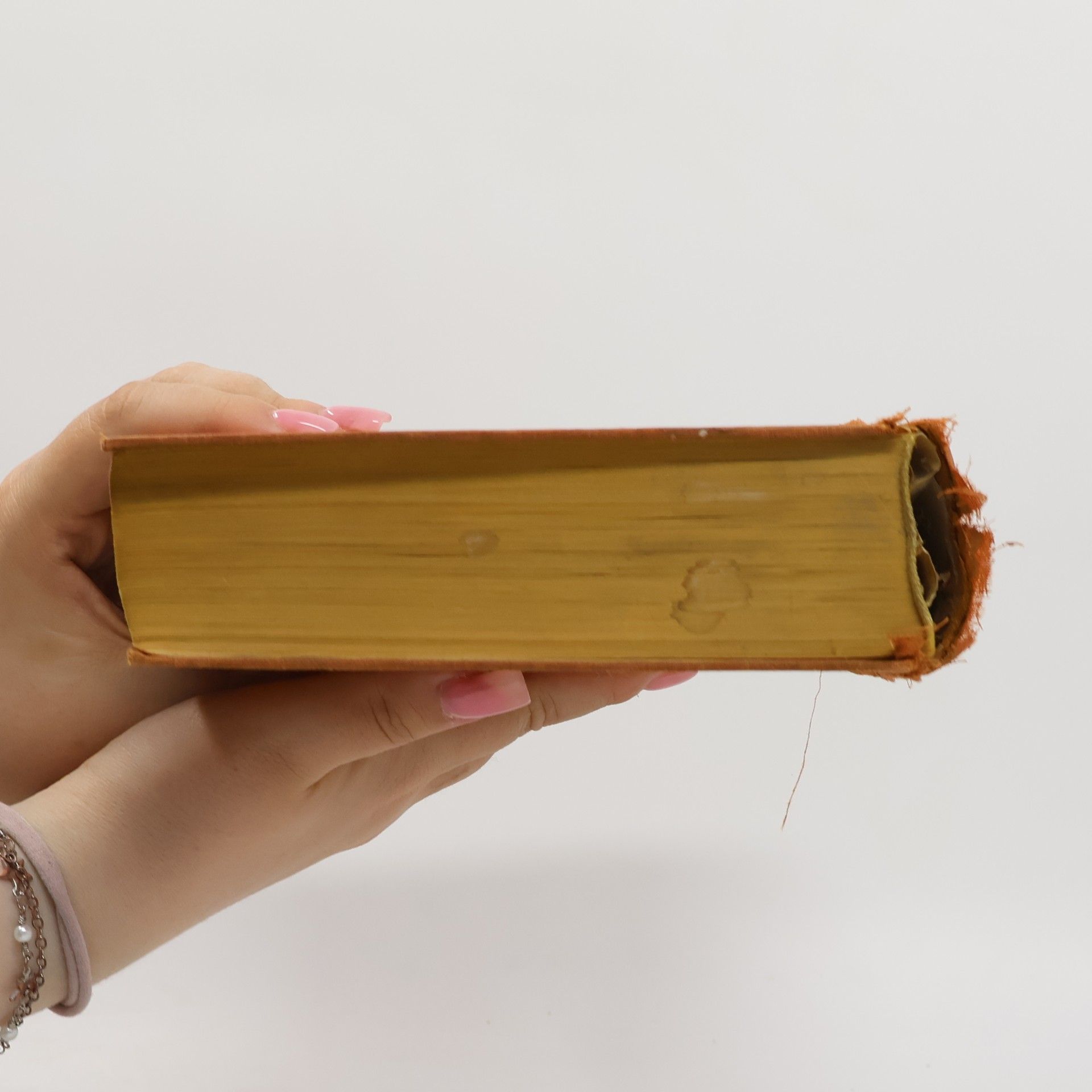 Autores varios Hausbuch unvergänglicher Prosa
