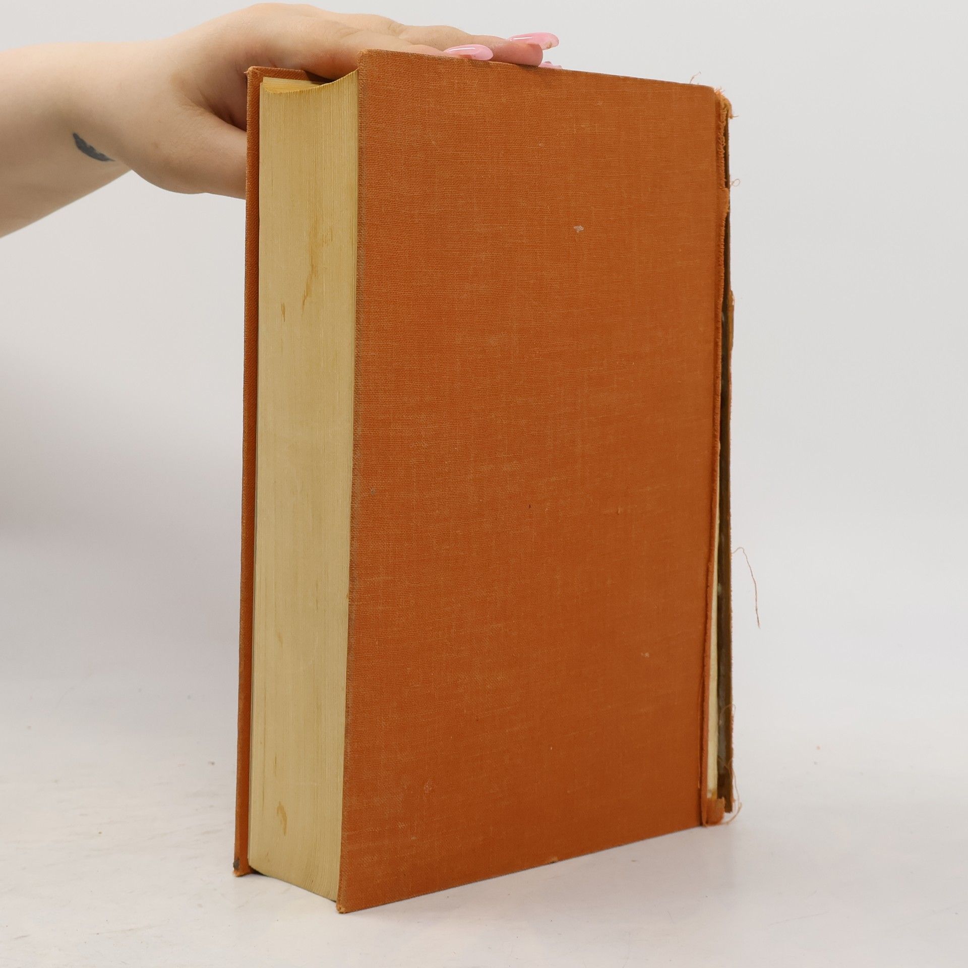 Autores varios Hausbuch unvergänglicher Prosa