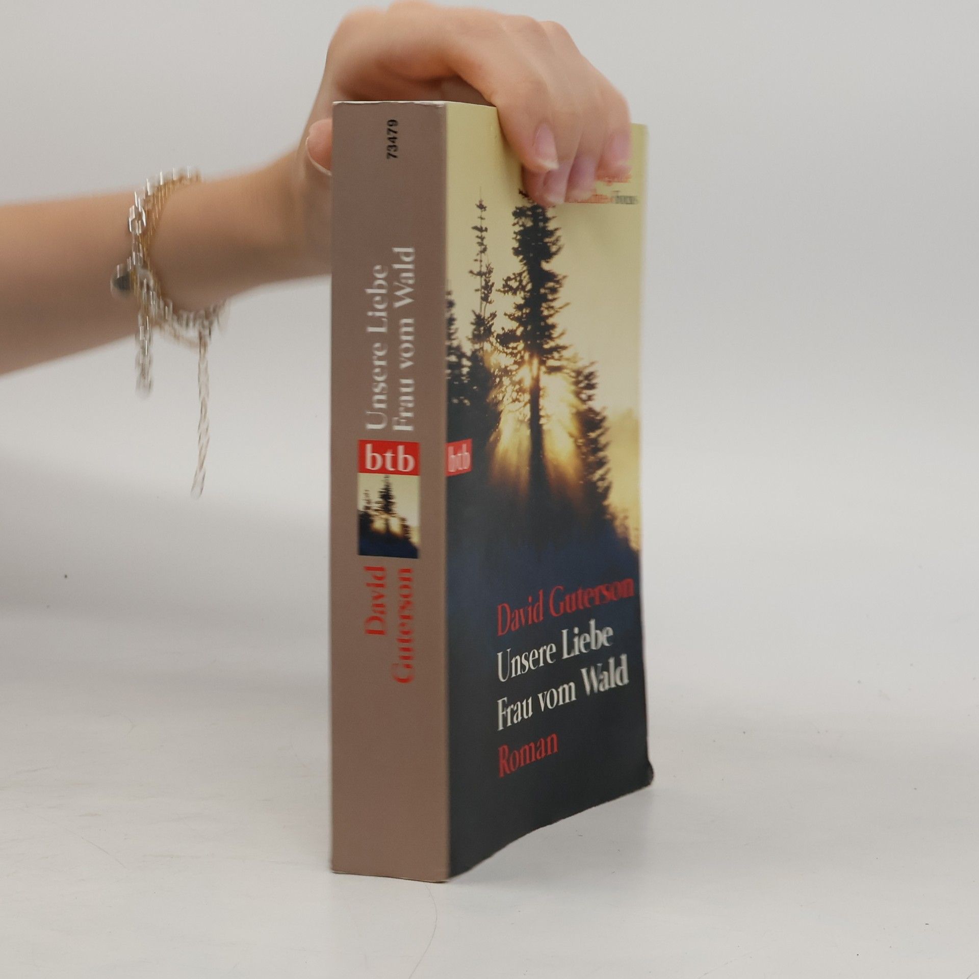 David Guterson Unsere Liebe Frau vom Wald