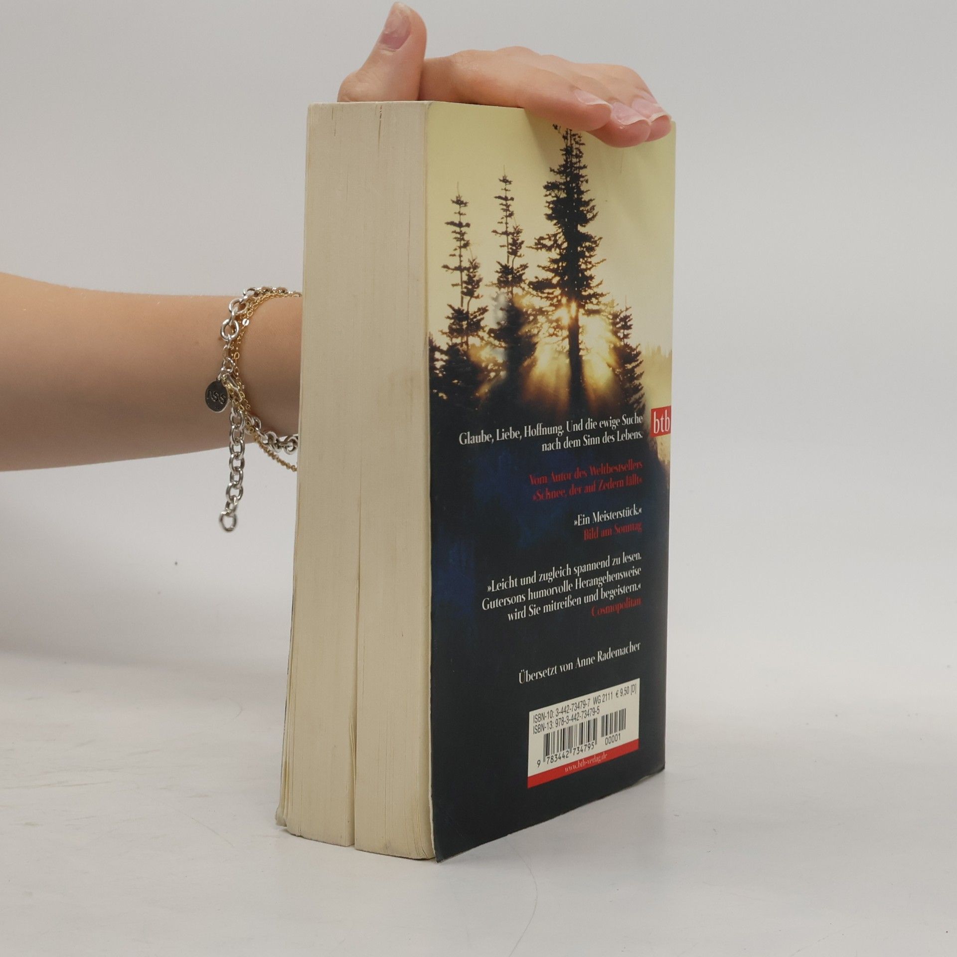 David Guterson Unsere Liebe Frau vom Wald
