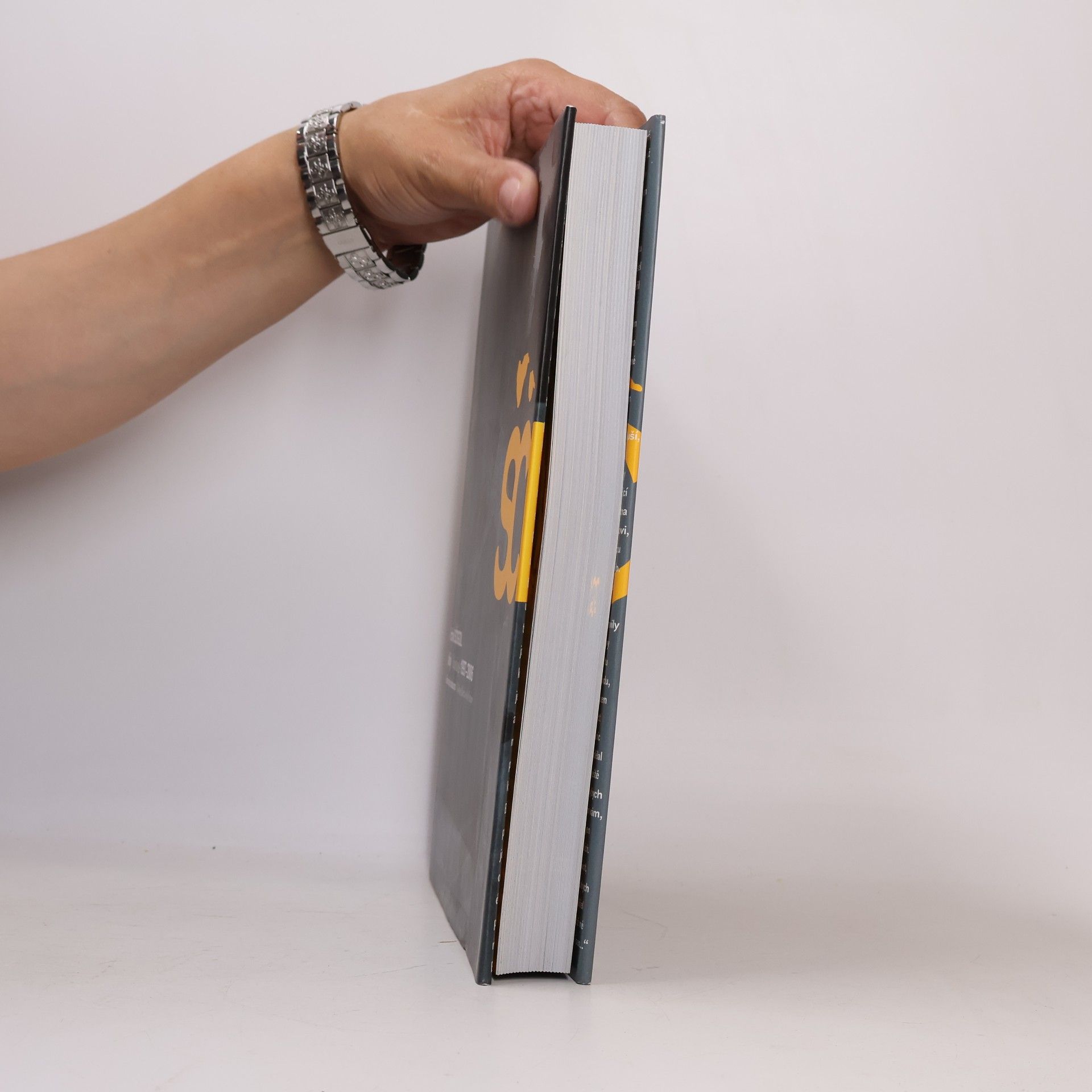 Michail Ščigol Michail Ščigol Malby 1997-2006 Ohlížení na budoucno/Paintings 1997-2006 Looking Back to the Future