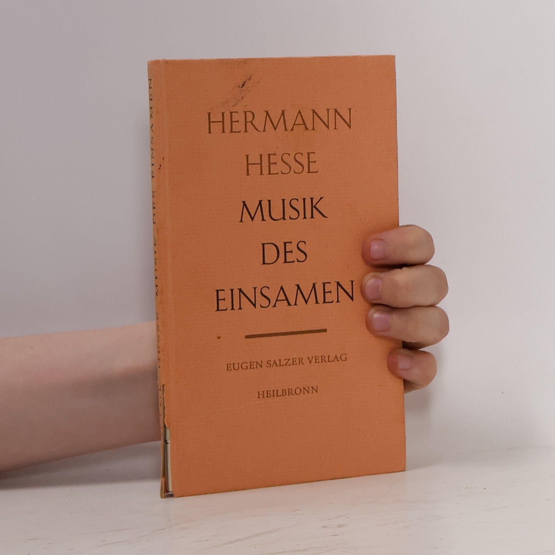 Hermann Hesse Musik des Einsamen