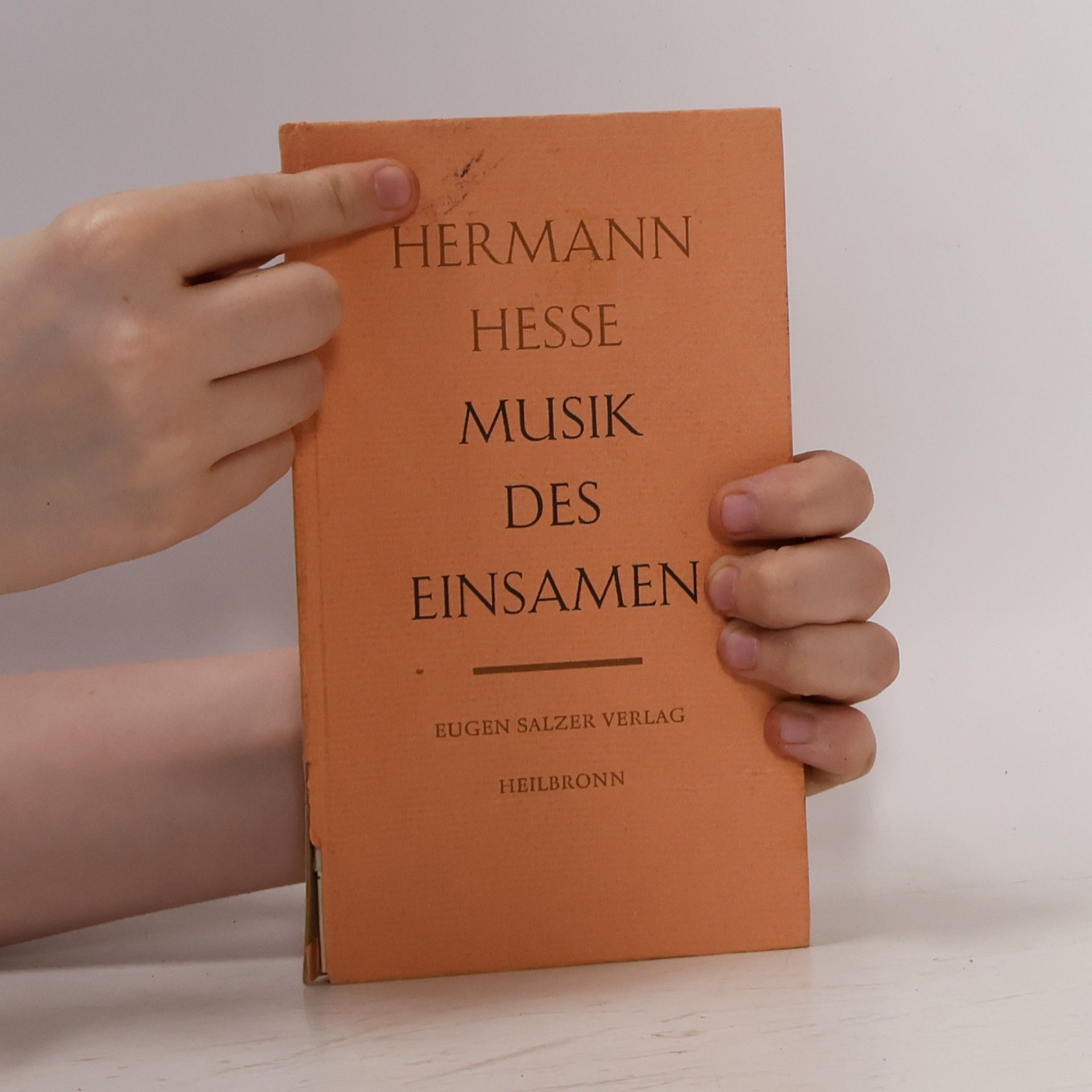 Hermann Hesse Musik des Einsamen