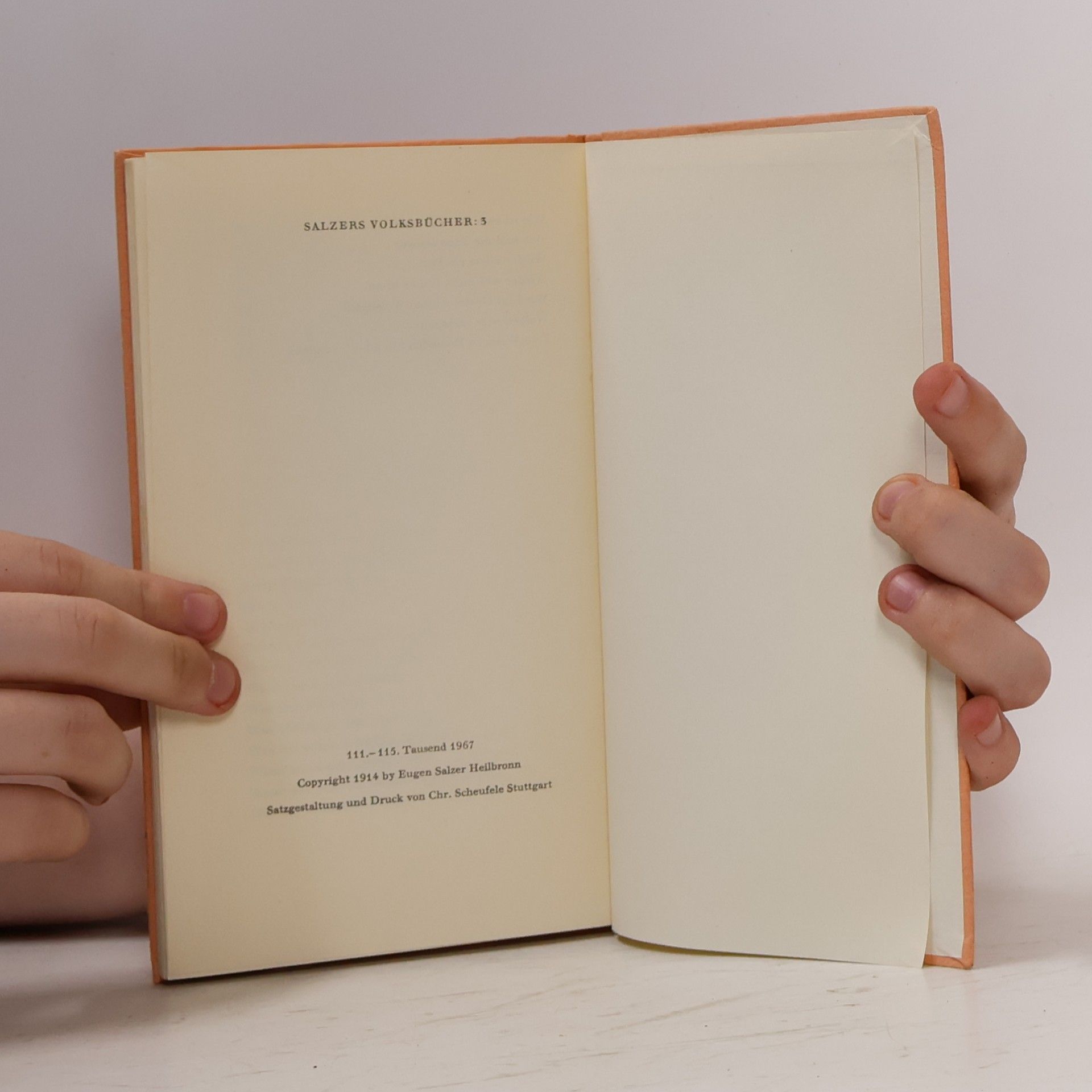 Hermann Hesse Musik des Einsamen