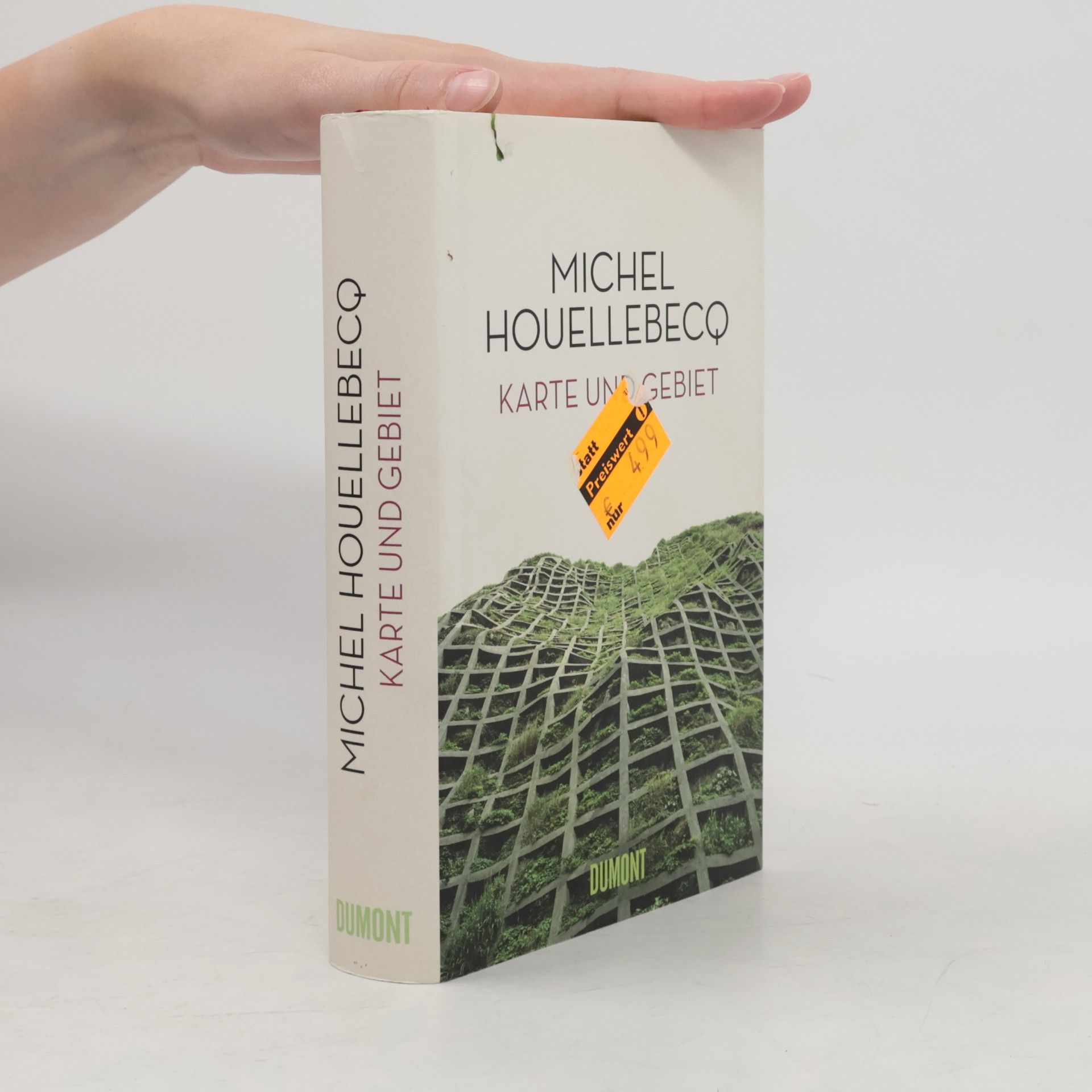 Michel Houellebecq Karte und Gebiet