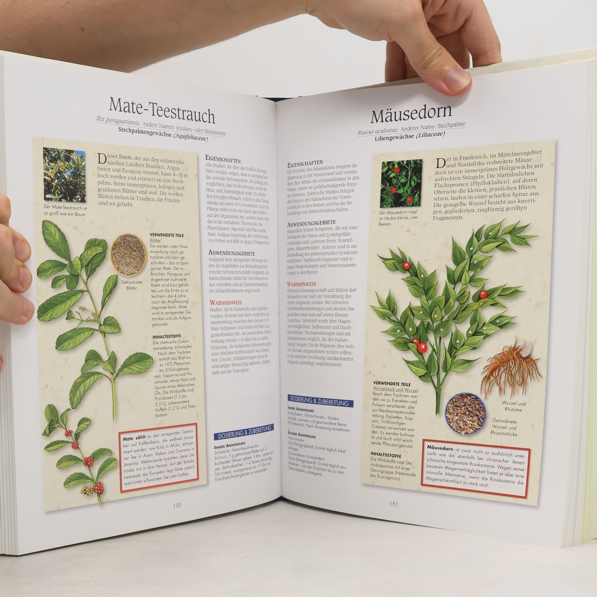 Ulrike Novotny Reader's Digest Heilpflanzen-Buch
